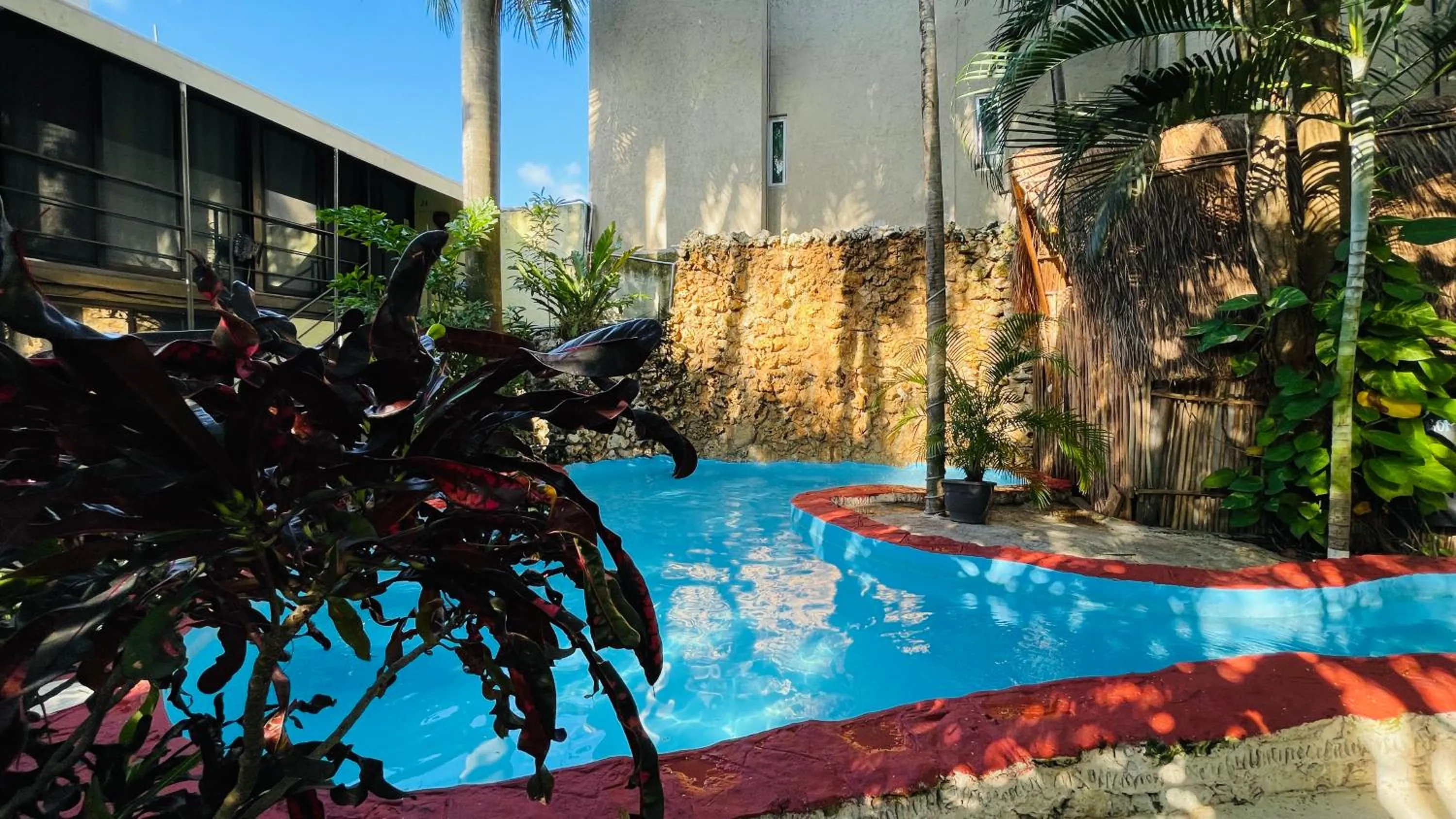 Swimming pool in Hotel B&B - 5th Avenue