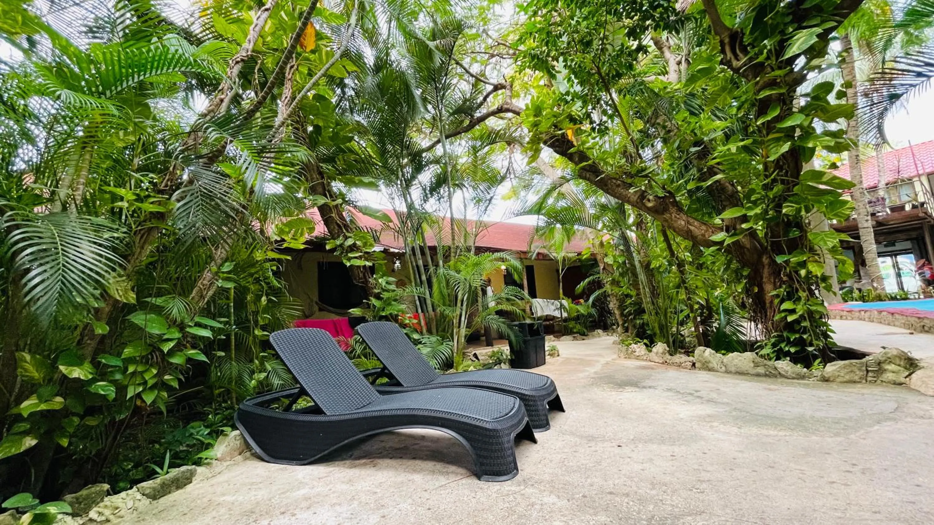 Patio in Hotel B&B - 5th Avenue