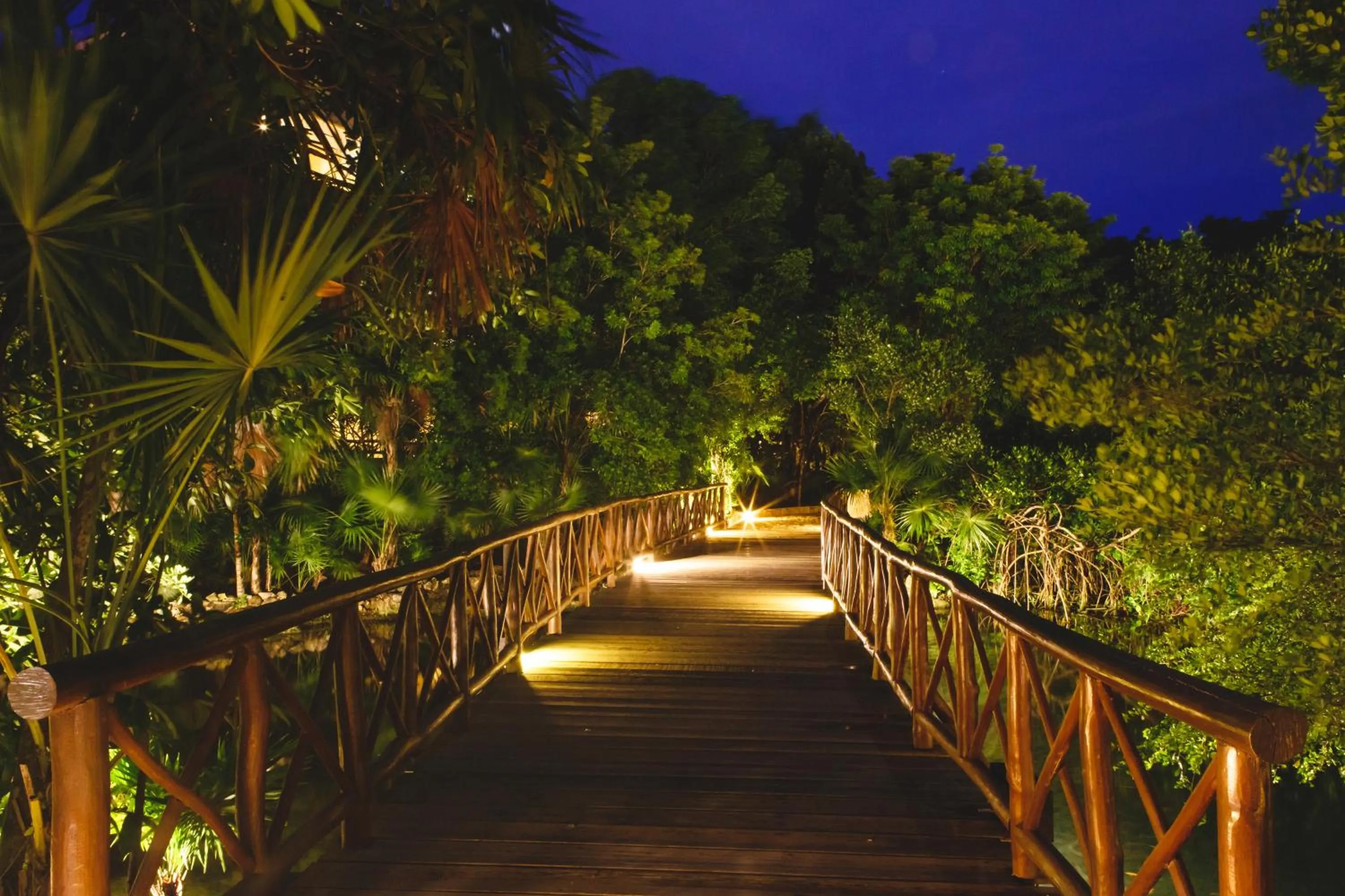 Garden in Catalonia Royal Tulum Beach & Spa Resort Adults Only - All Inclusive