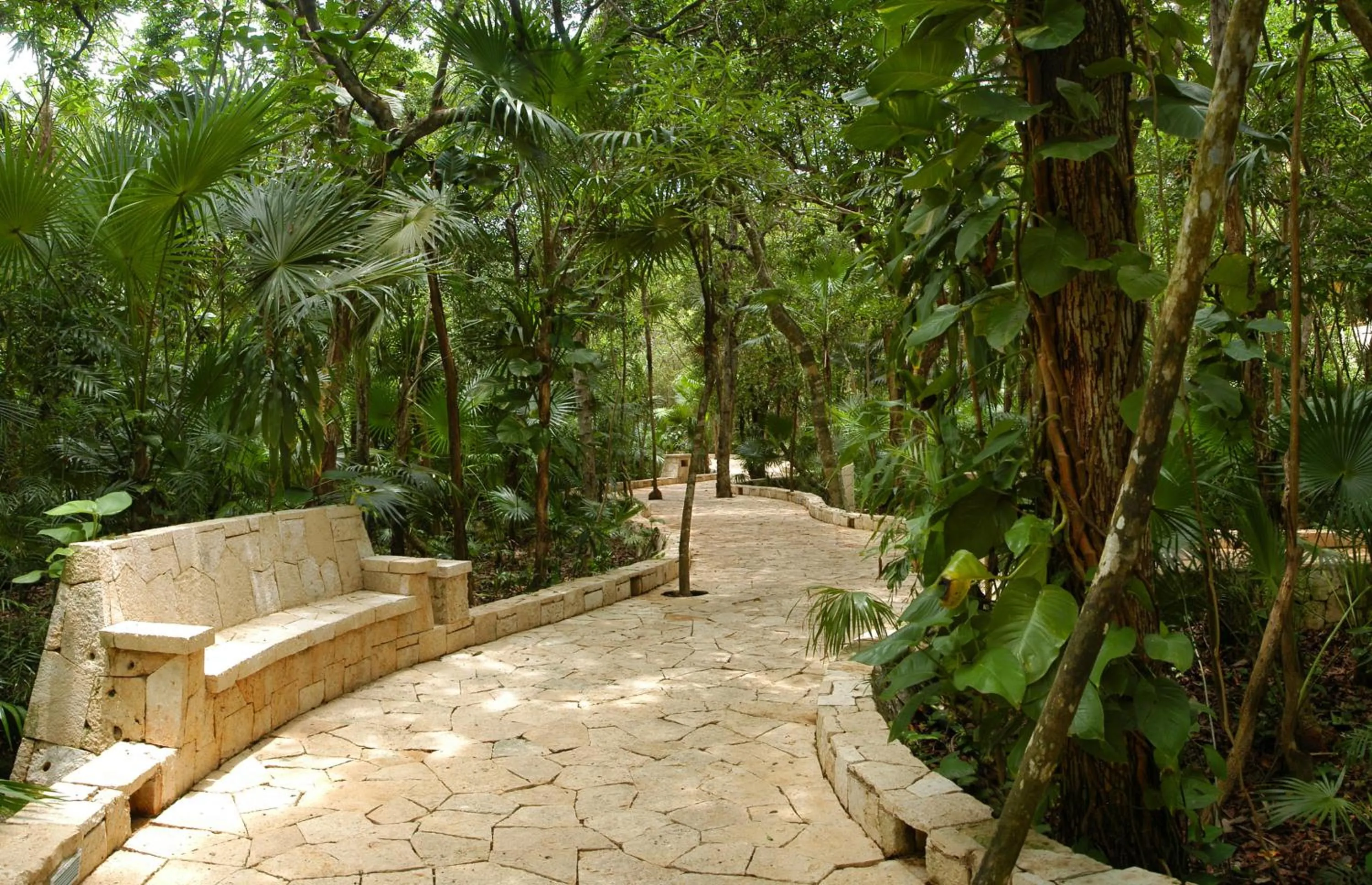 Garden in Catalonia Royal Tulum Beach & Spa Resort Adults Only - All Inclusive