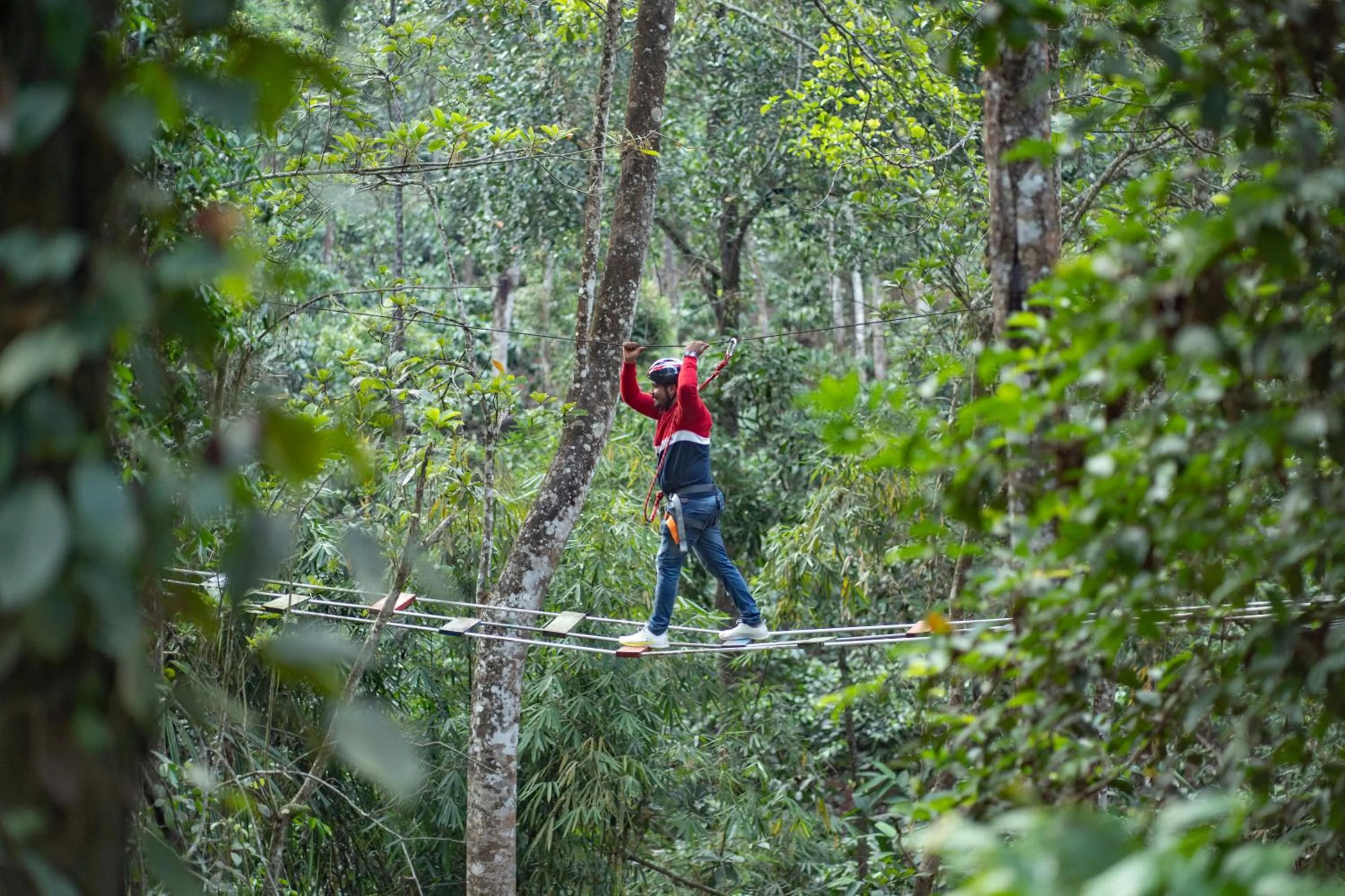 Day in Vyna Hillock Resort