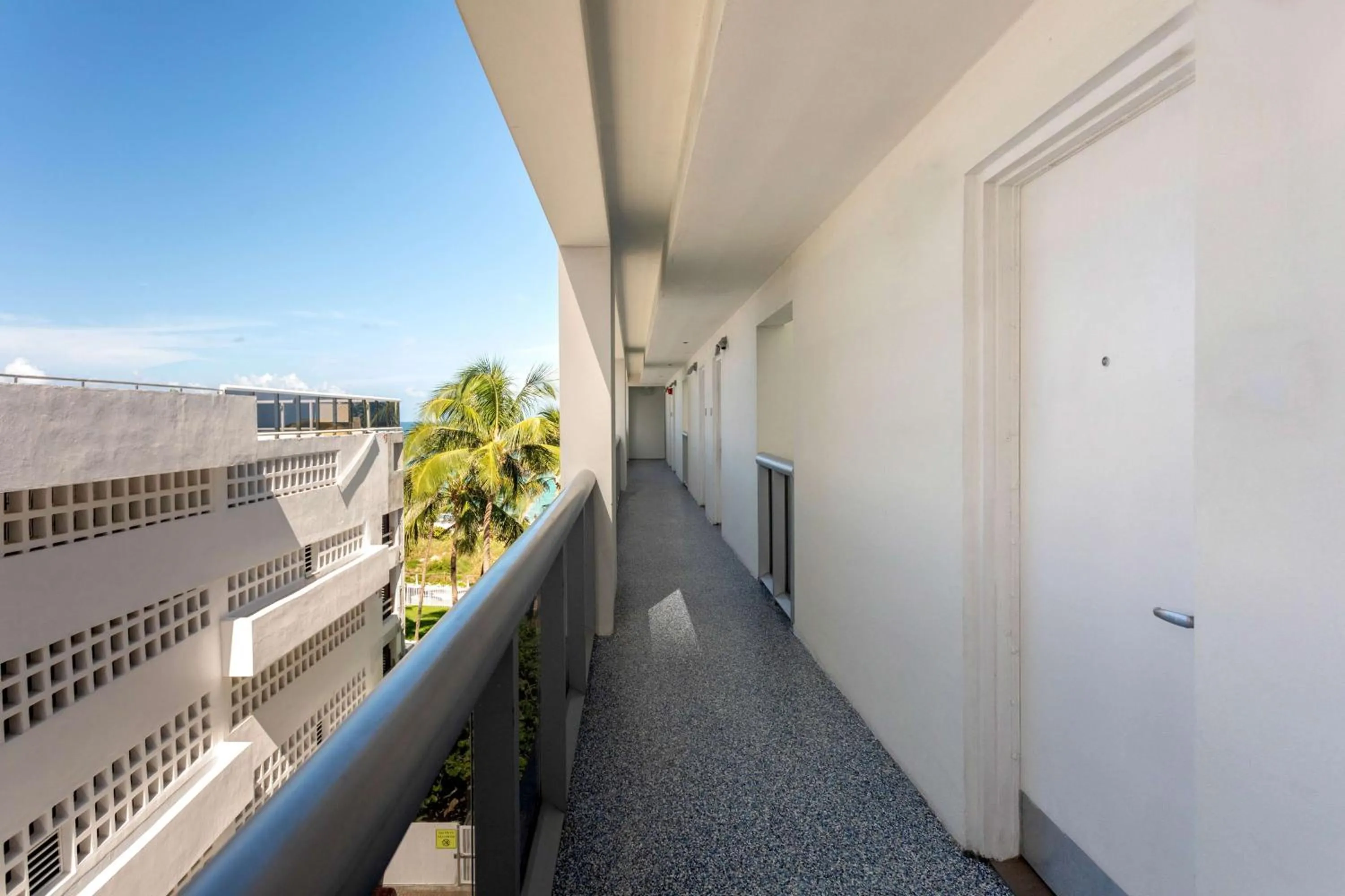 View (from property/room) in Hilton Cabana Miami Beach Resort