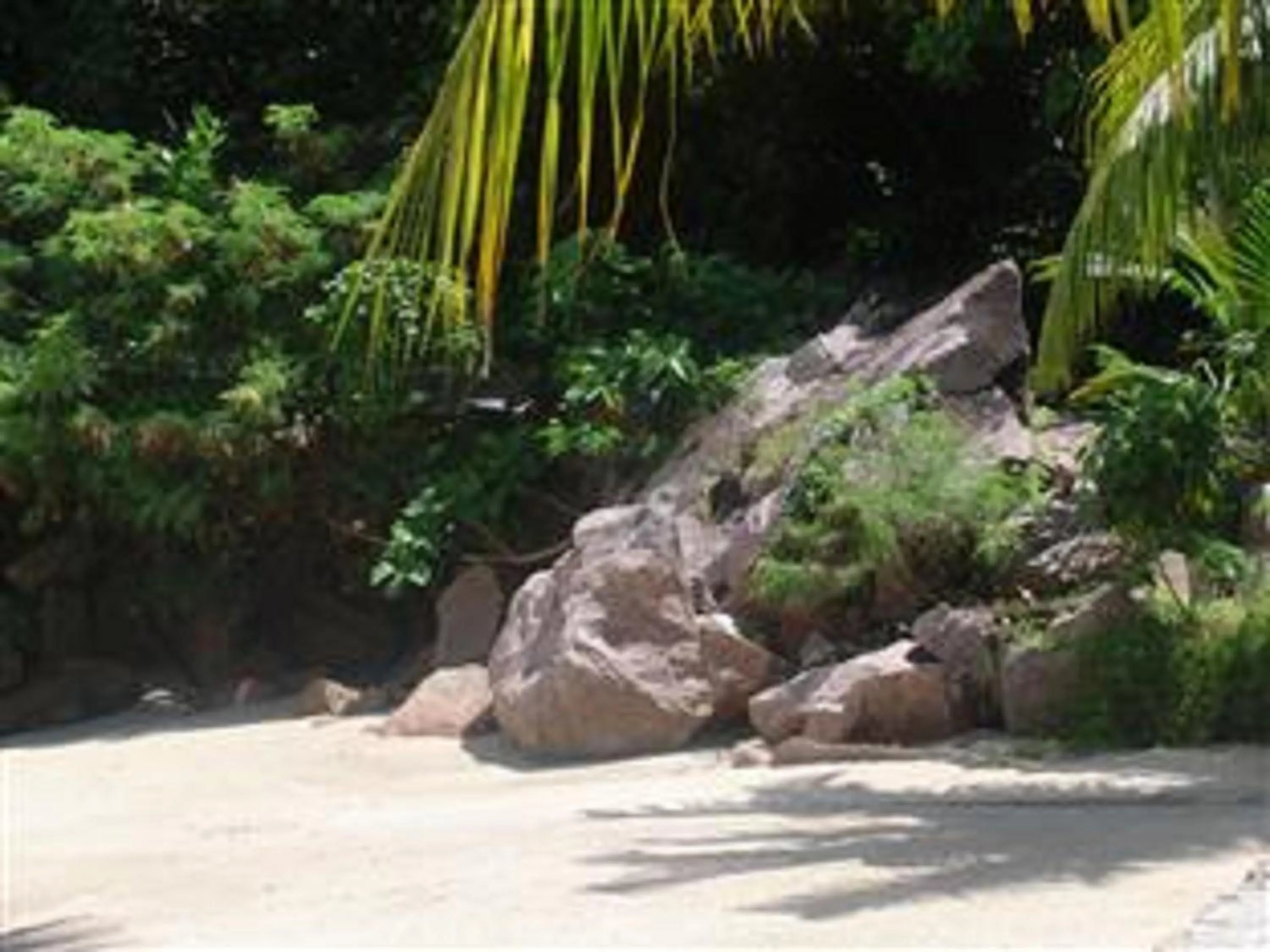 Beach in Sea View Lodge