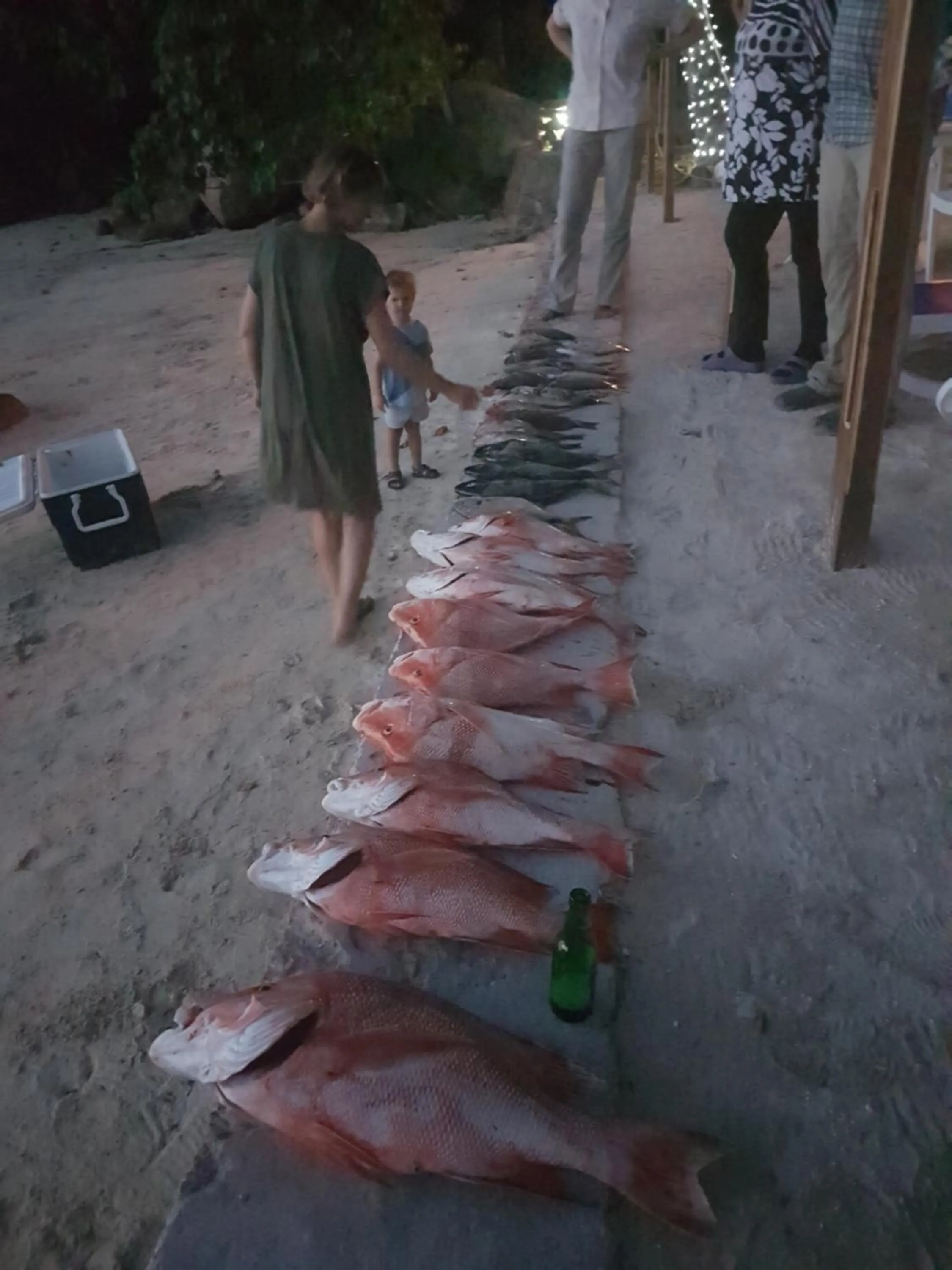 group of guests in Sea View Lodge