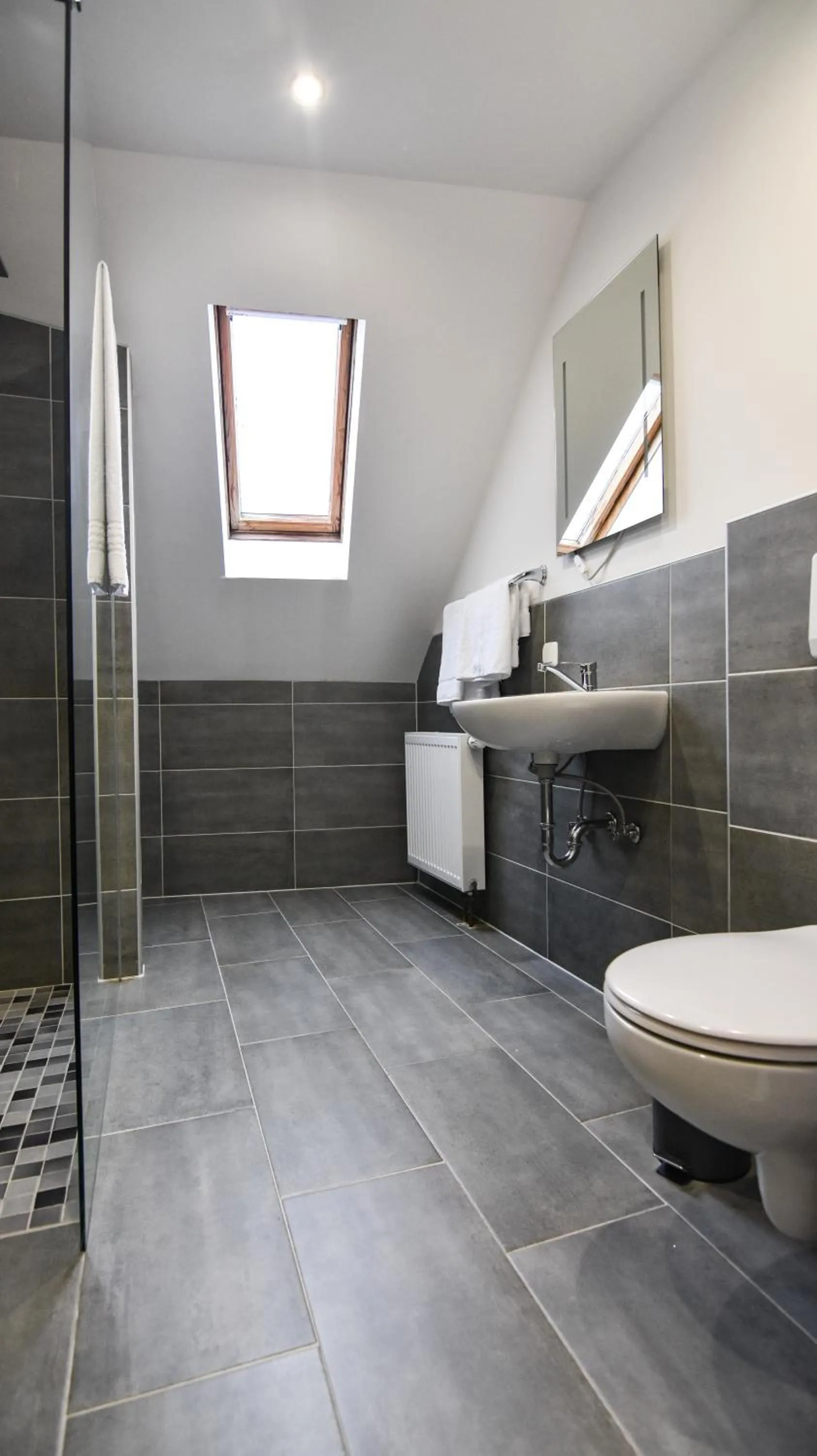 Shower in Hotel zur Schlemmerscheune