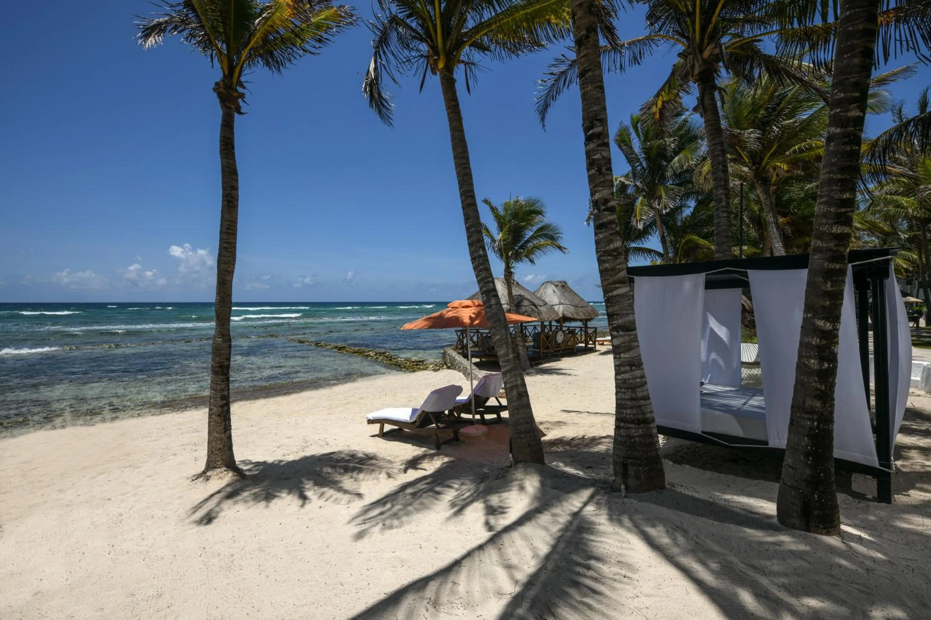 Beach in Hidden Beach Resort Au Naturel Adults Only, Catamarán, Cenote, All & More Inclusive