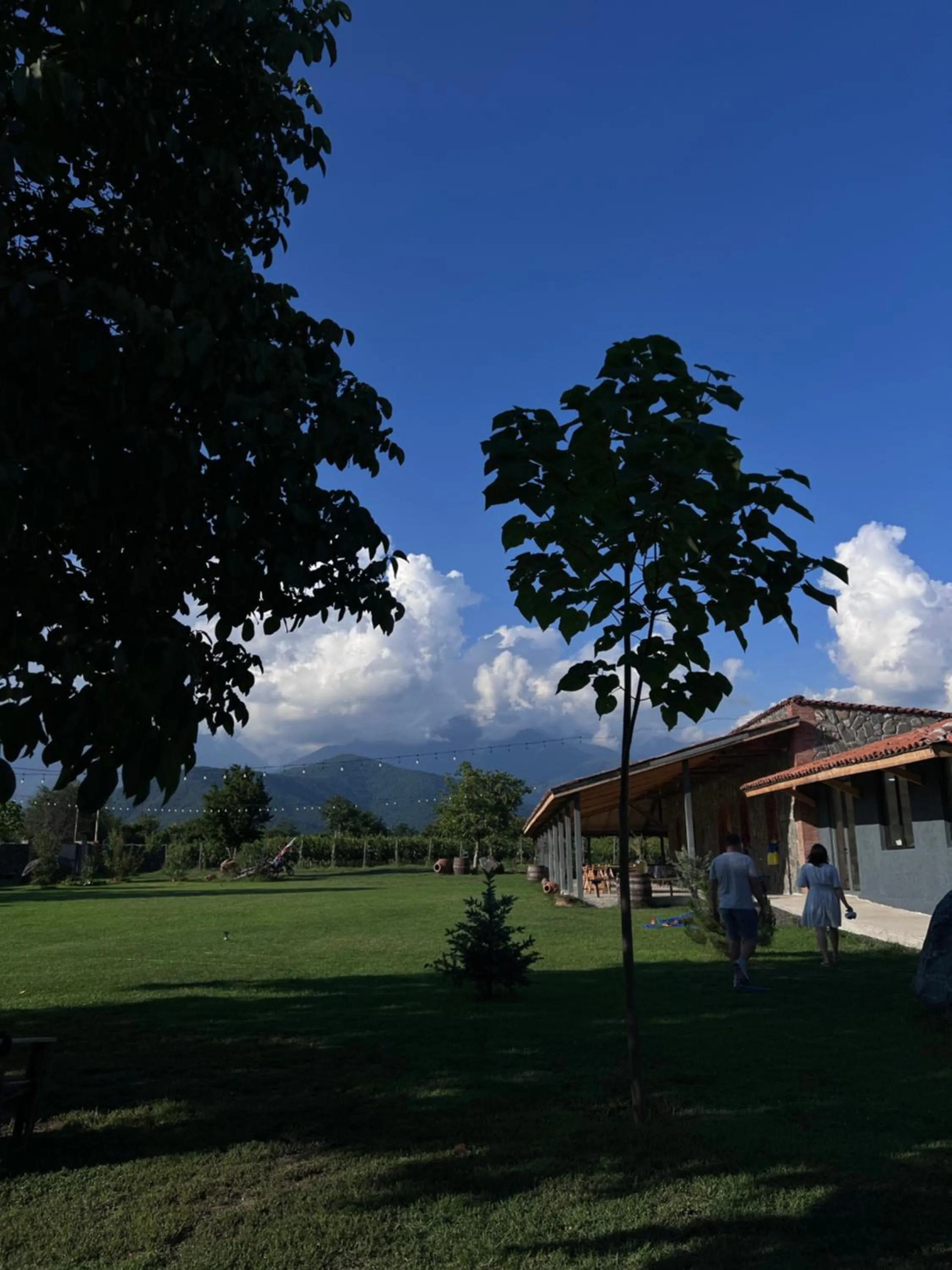 Spring in Chubini Winery & Cabins