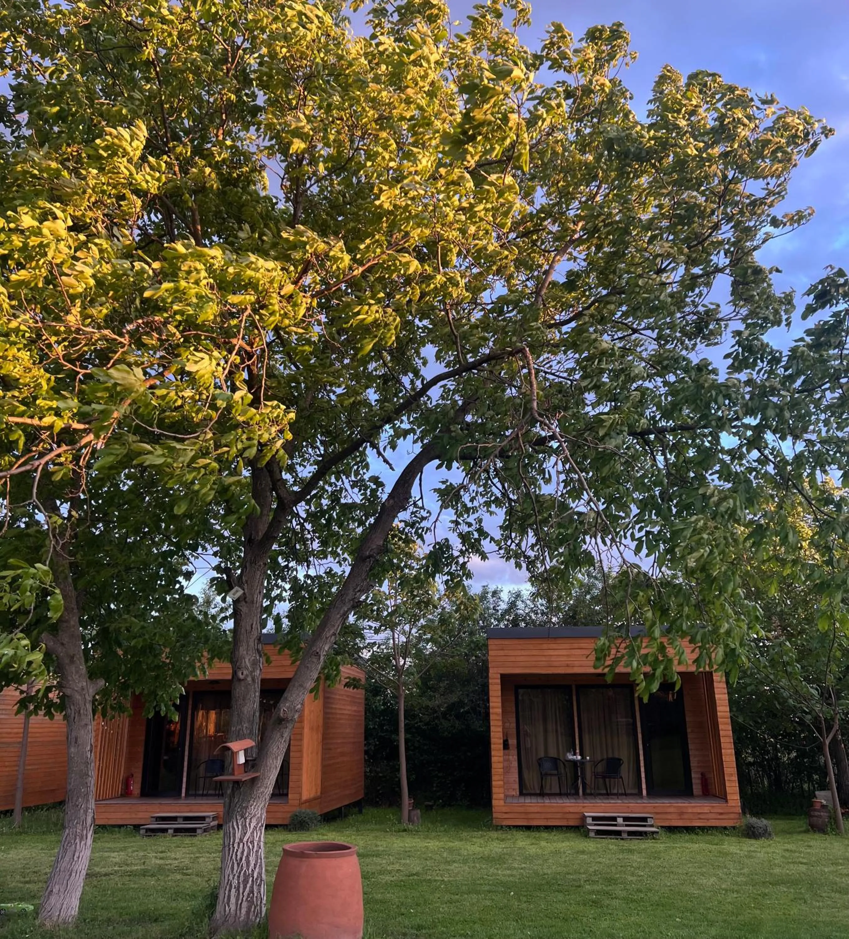 Chubini Winery & Cabins