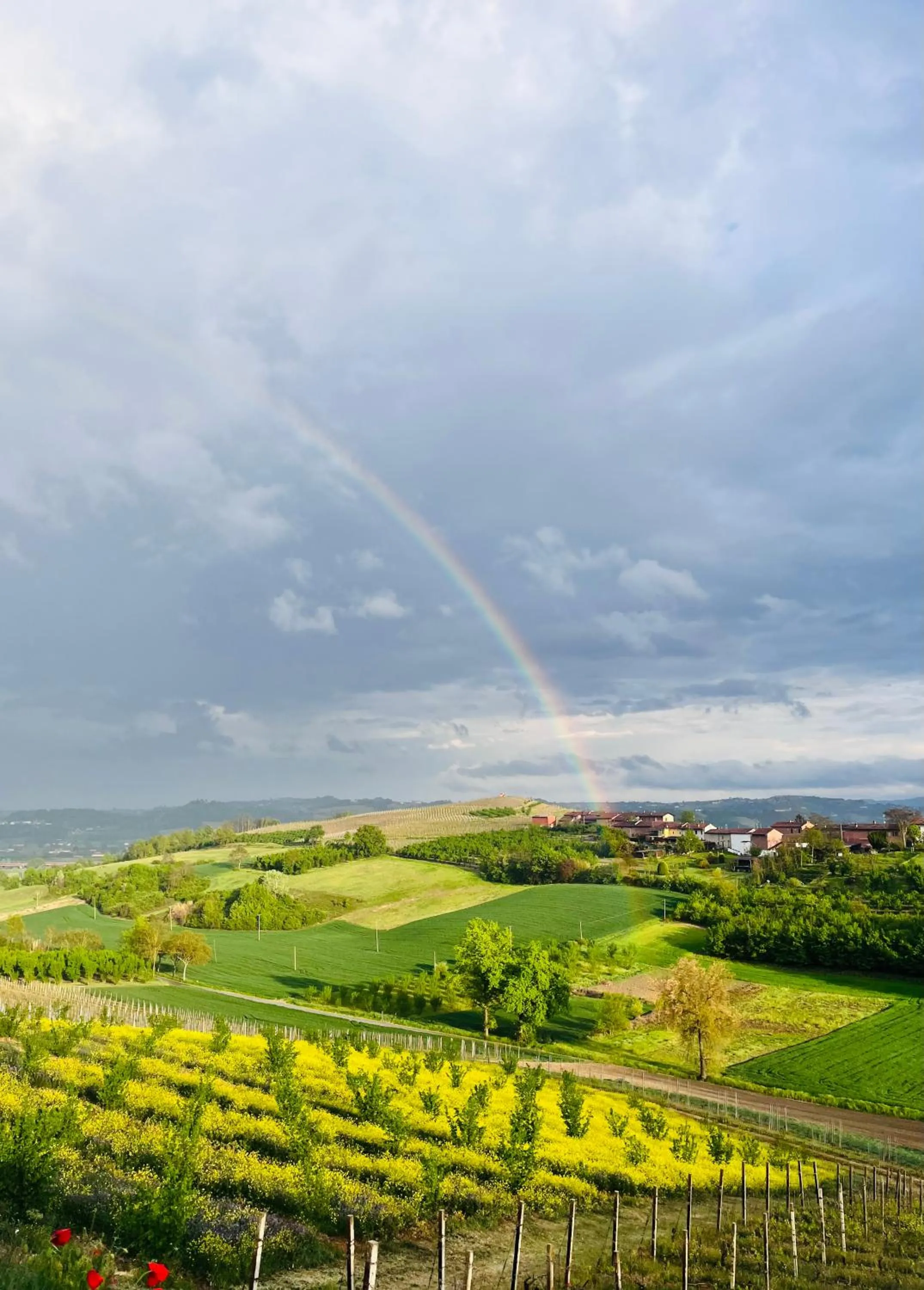 Natural landscape in Villa Nonna Cicci Boutique Hotel - SPA