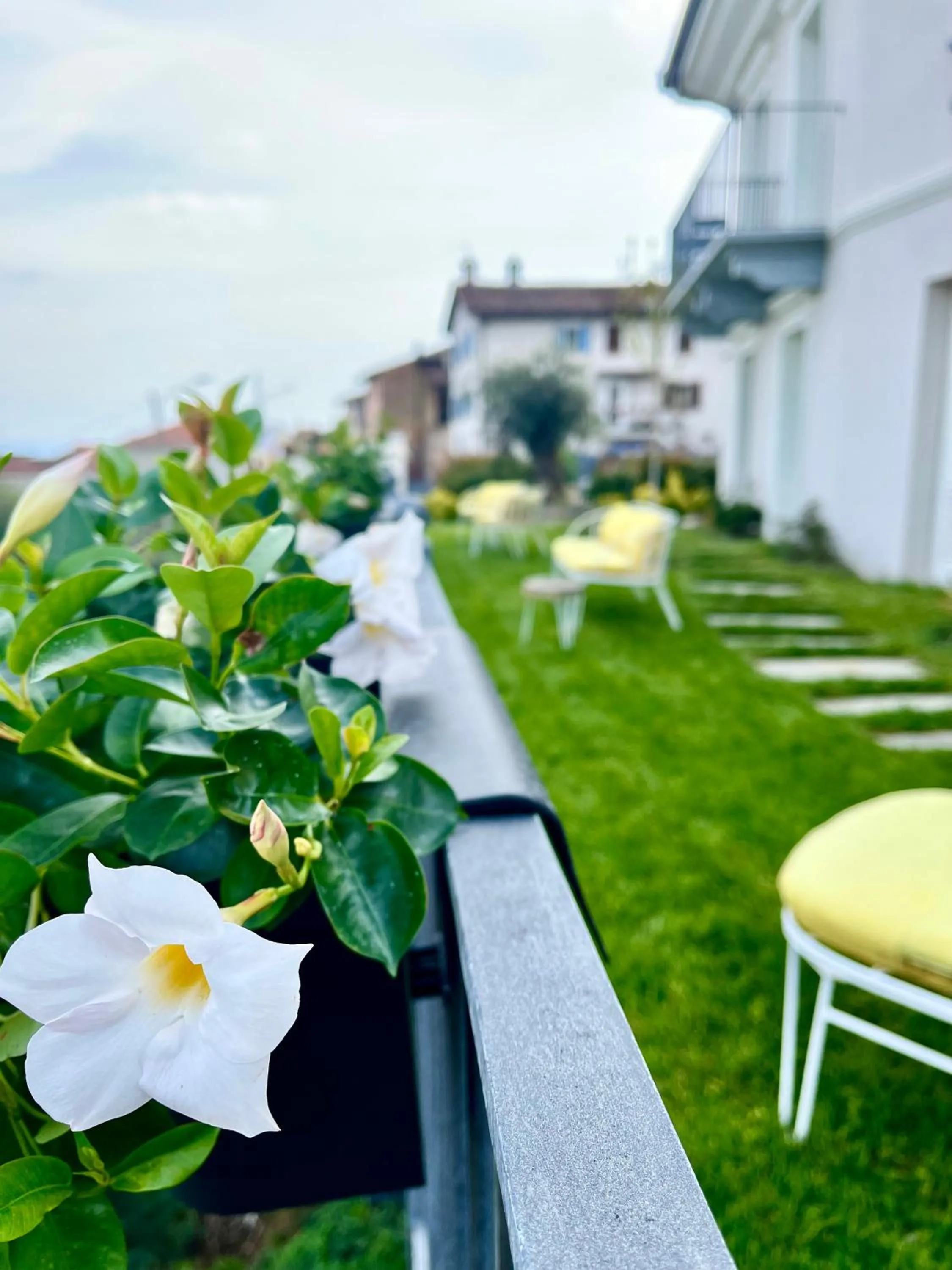 Garden in Villa Nonna Cicci Boutique Hotel - SPA