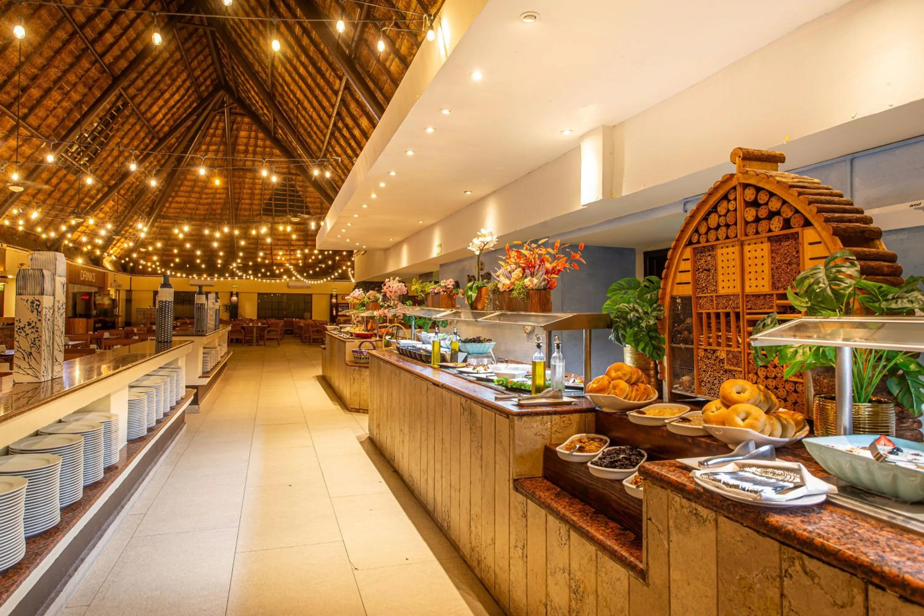 Restaurant/places to eat in Sandos Caracol Nature Resort & Water Park All Inclusive