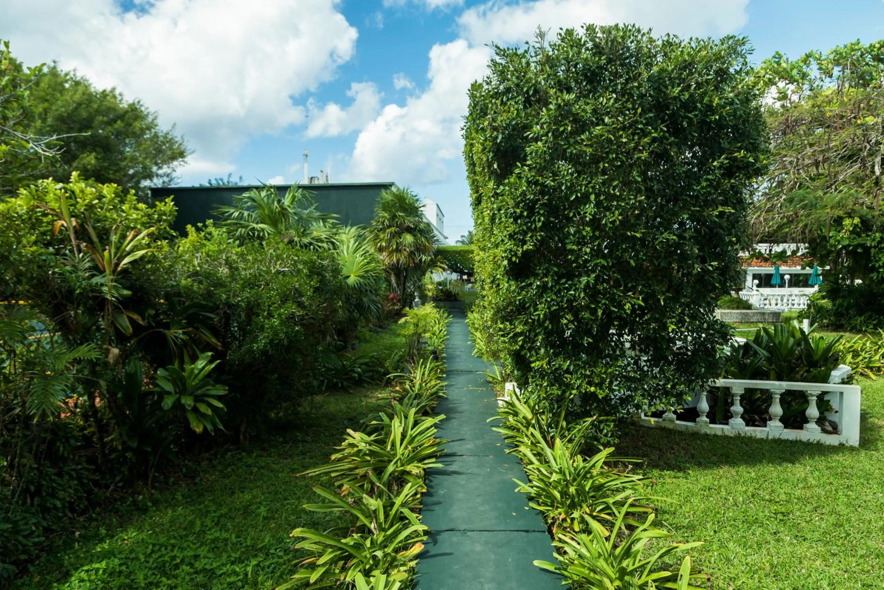 Garden view in Villablanca Garden Beach Hotel