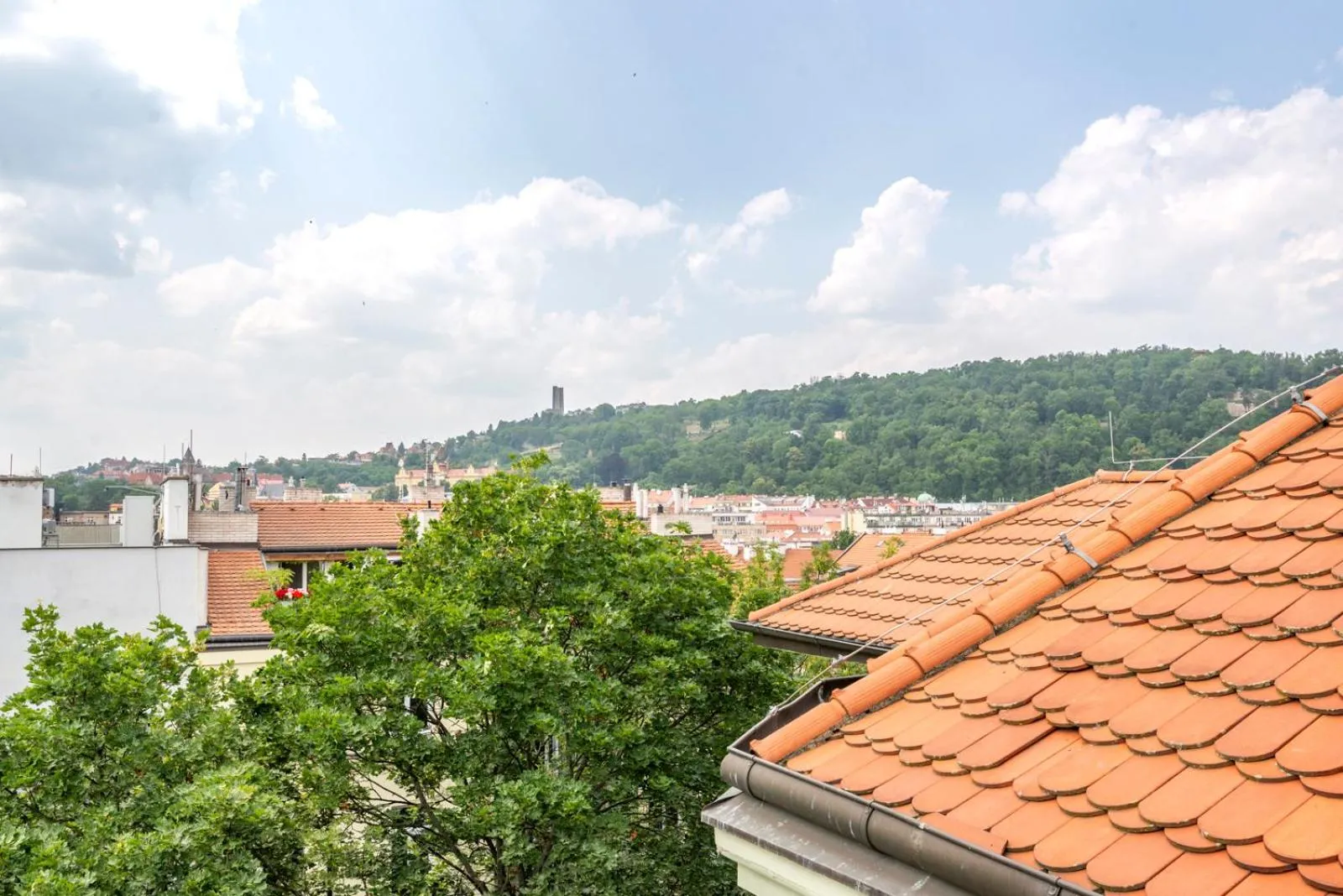 View (from property/room) in Janackovo - Riverside Residence