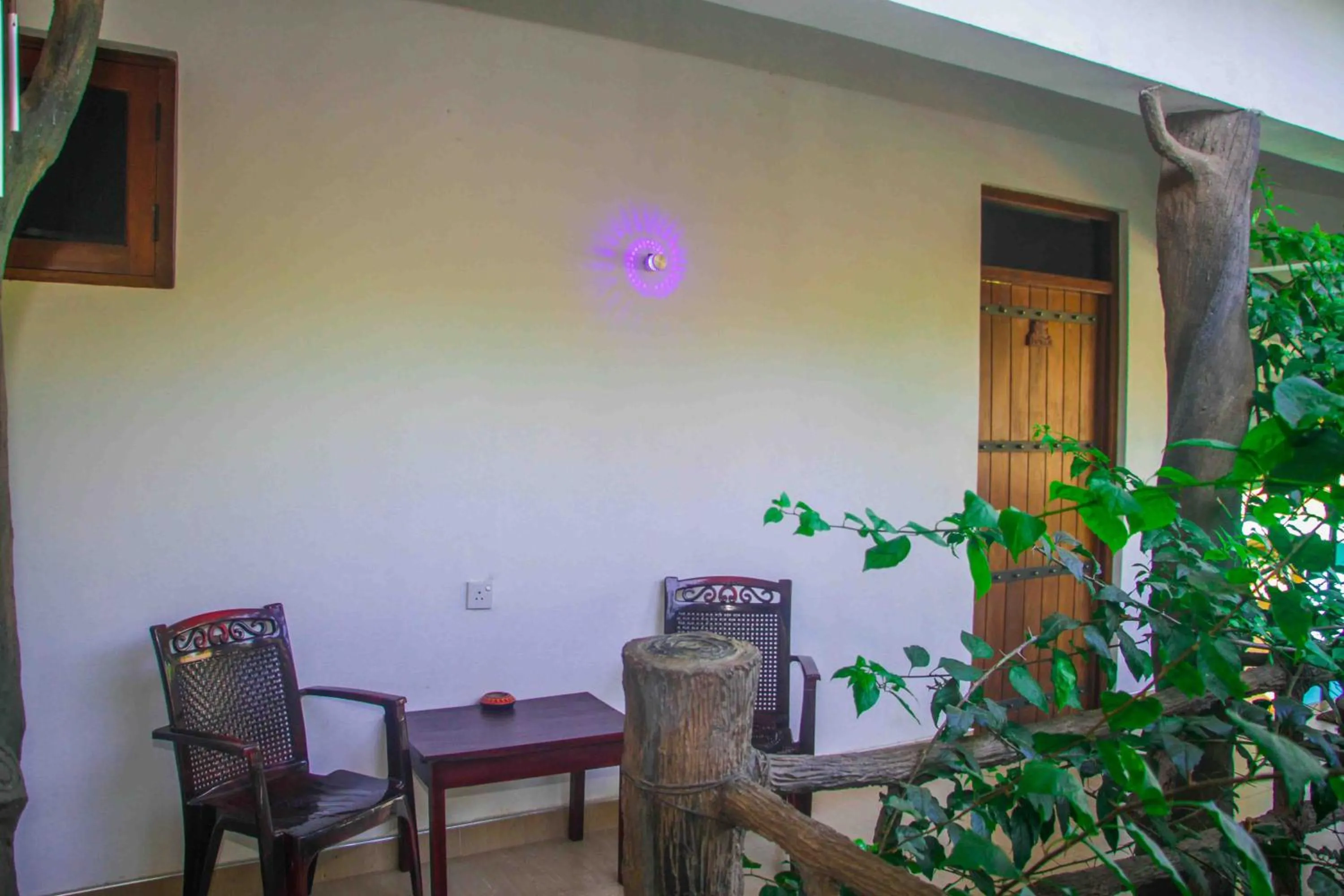 Seating area in Hungry Lion Sigiriya