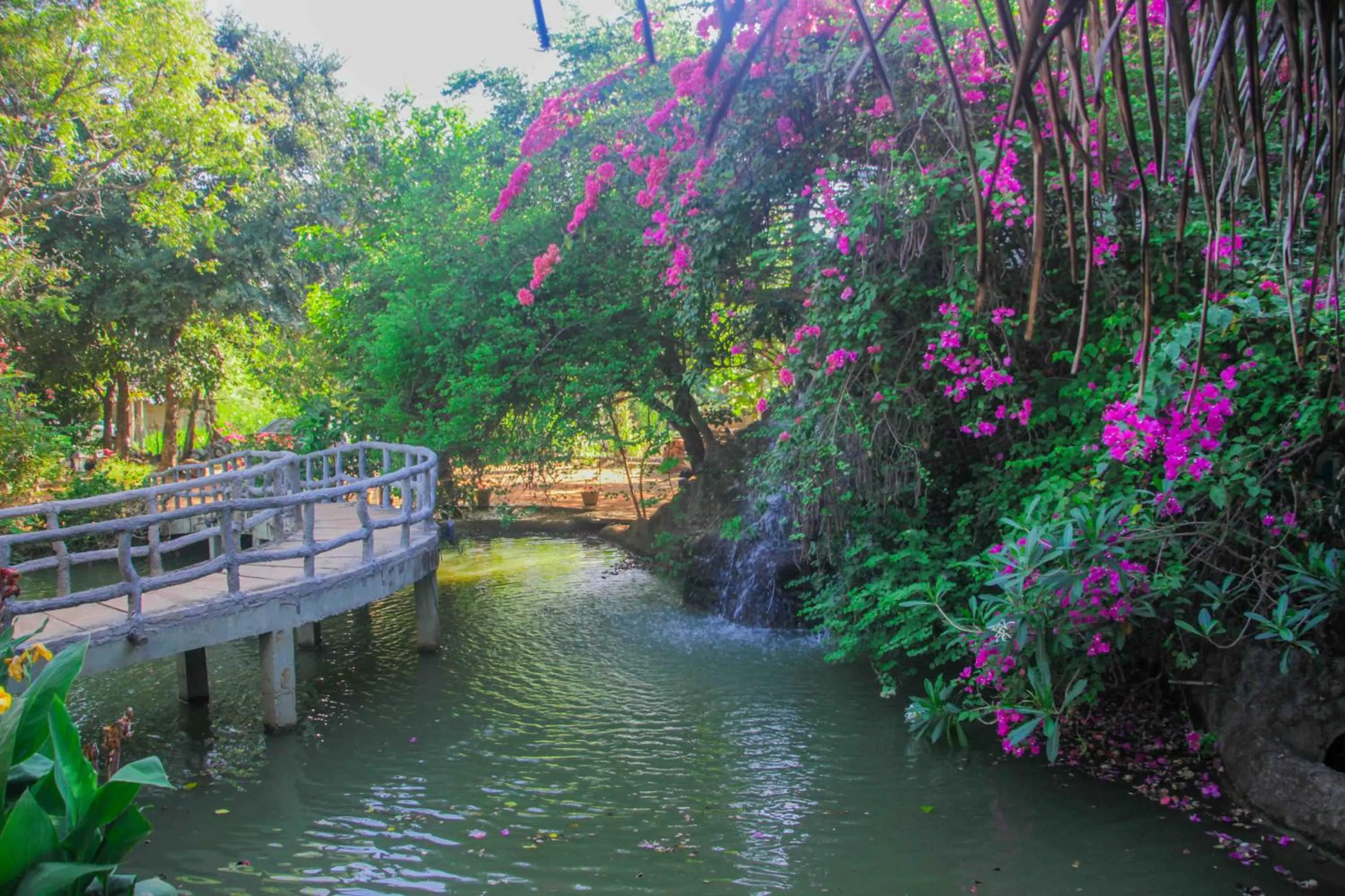 Facade/entrance in Hungry Lion Sigiriya