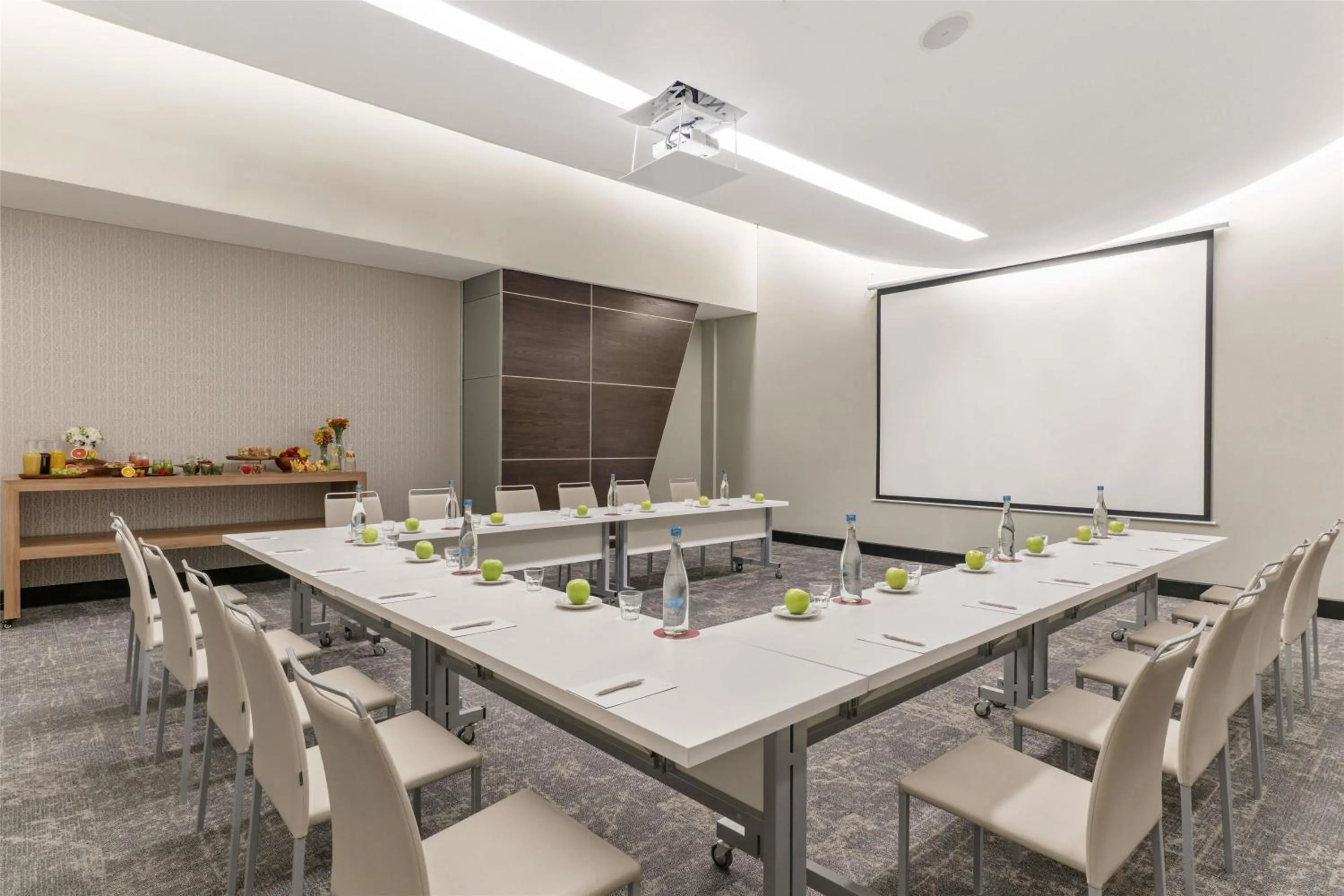 Meeting/conference room in NH Collection Monterrey San Pedro