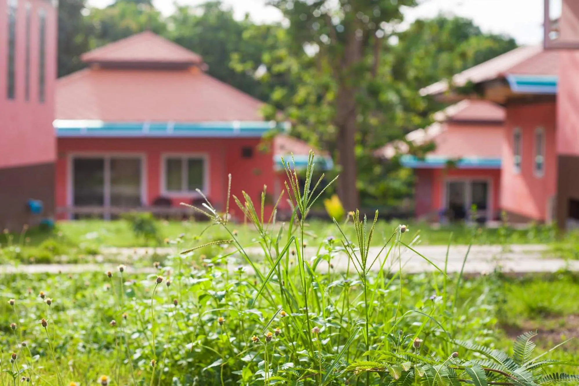 Spring in Koh Tao Garden Resort