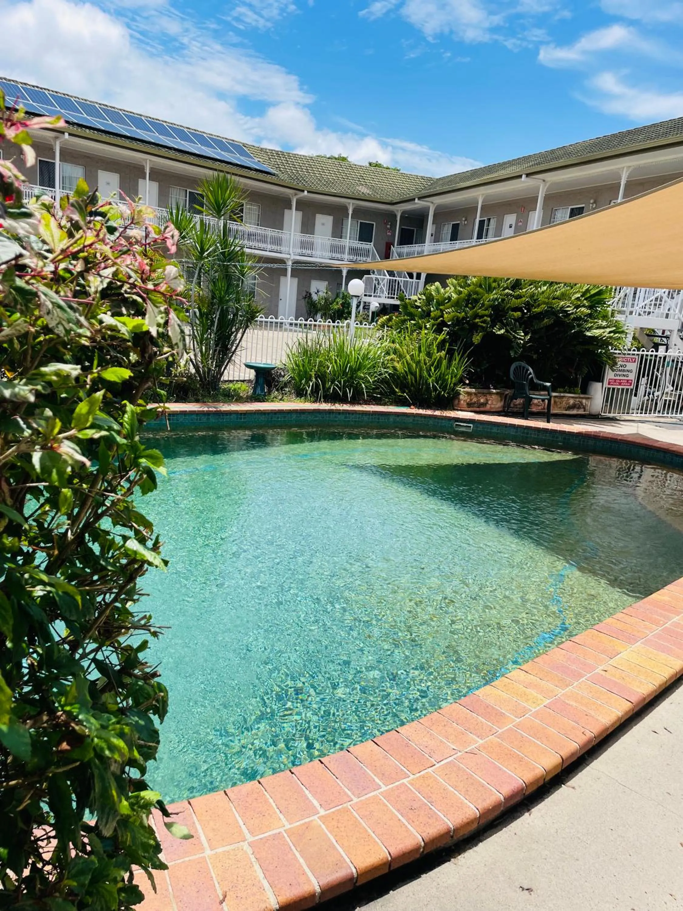 Swimming pool in Colonial Rose Motel