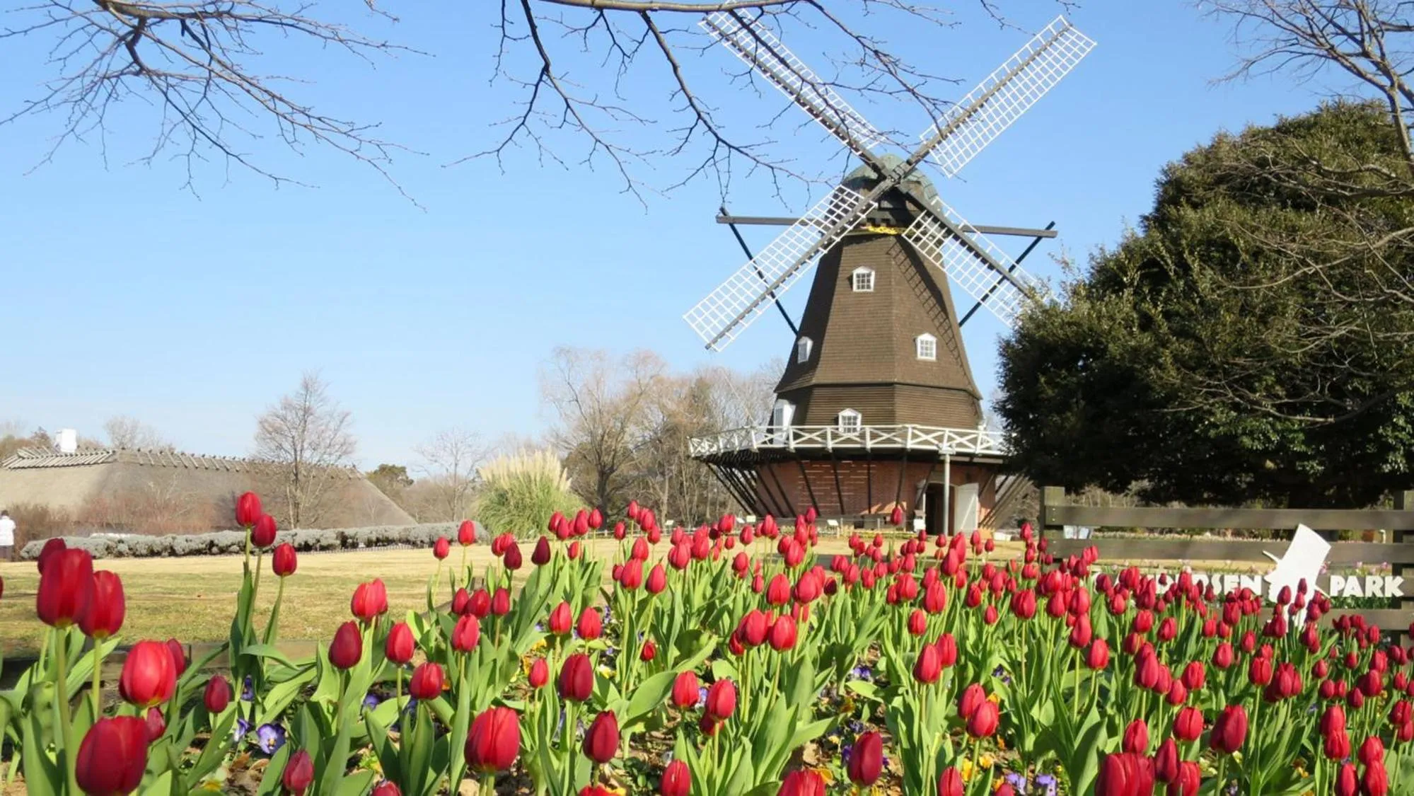 Nearby landmark in Toyoko Inn Tsudanuma-eki Kita-guchi