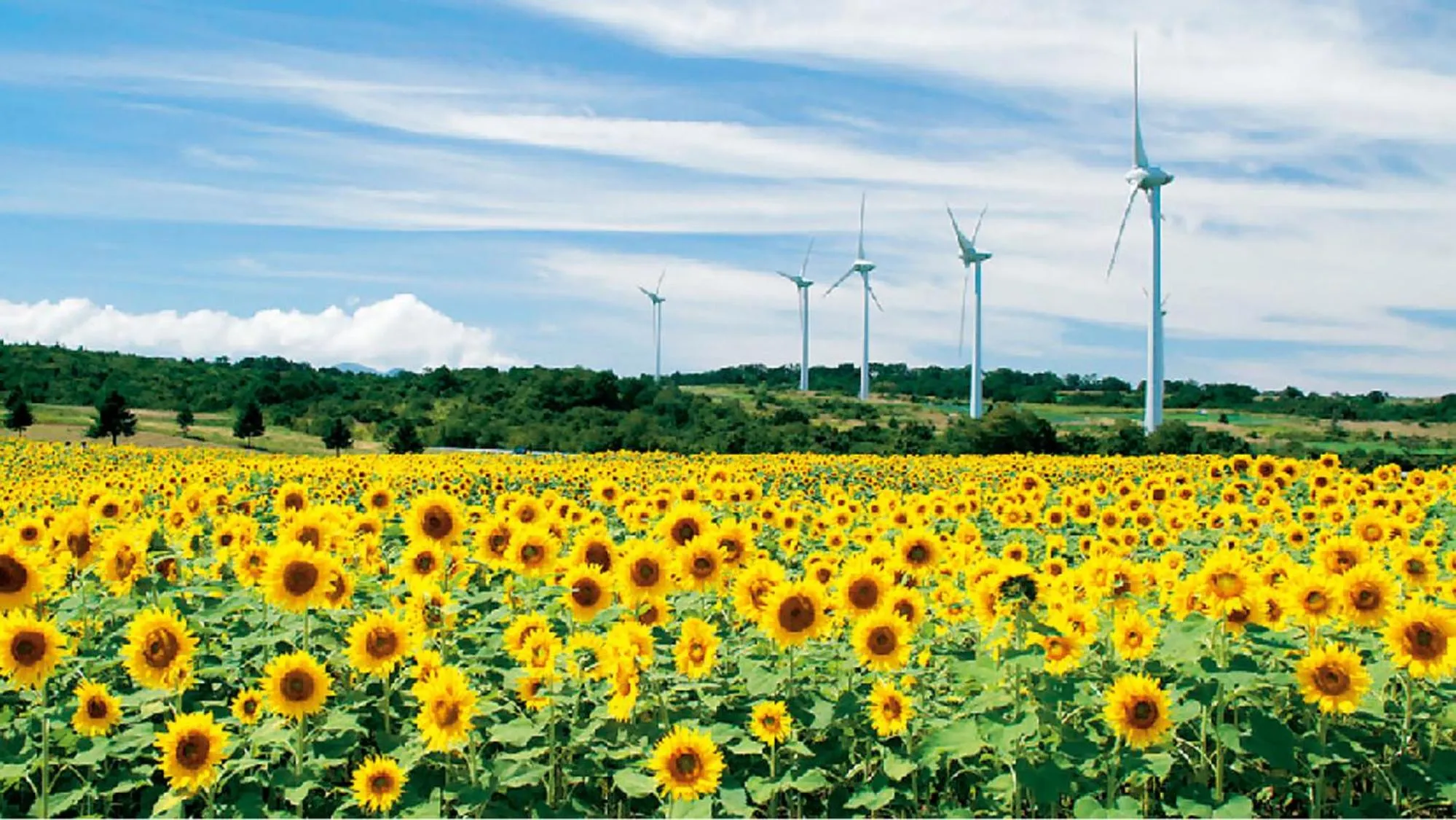 Nearby landmark in Toyoko Inn Koriyama