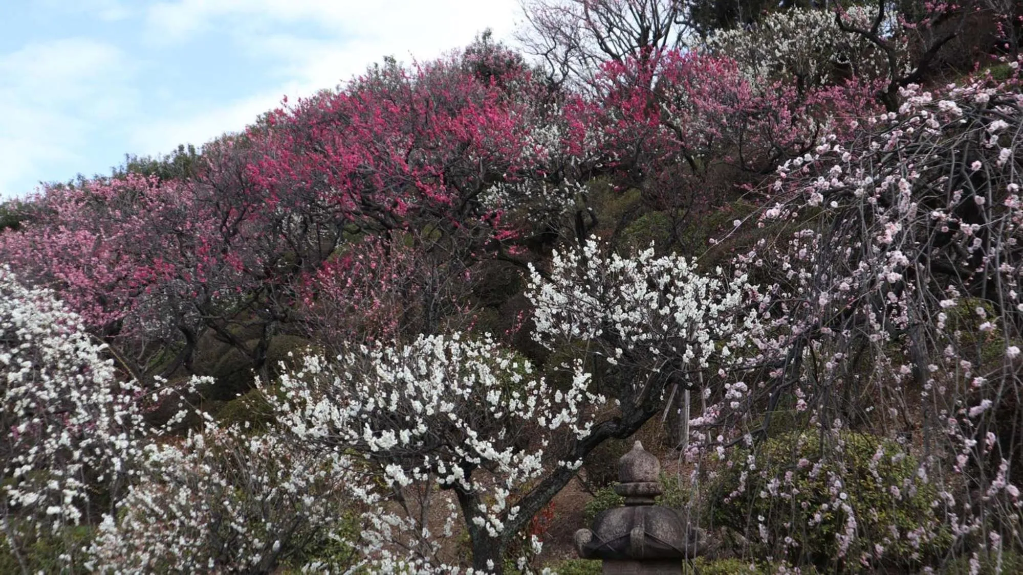Nearby landmark in Toyoko Inn Tokyo Kamata Higashi-guchi