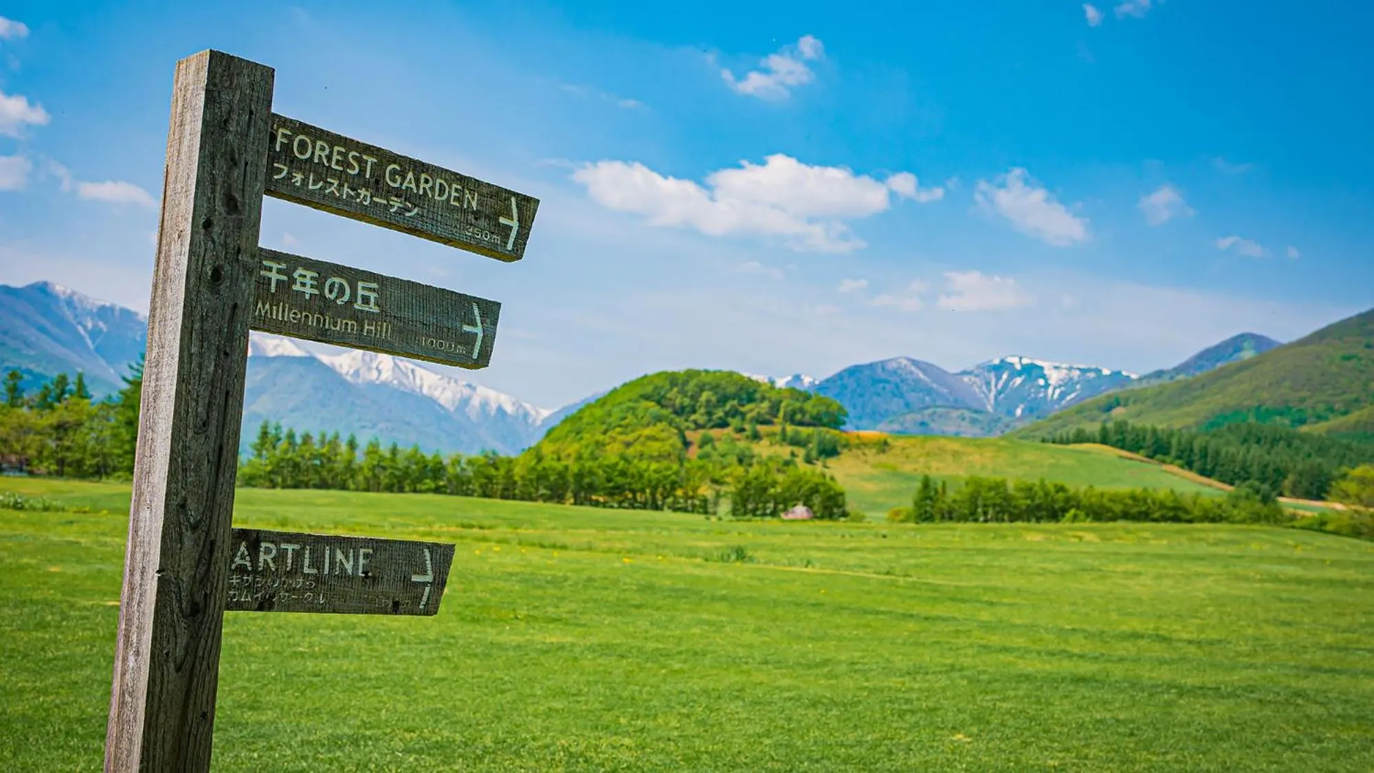 Nearby landmark in Toyoko Inn Hokkaido Tokachi Obihiro Ekimae