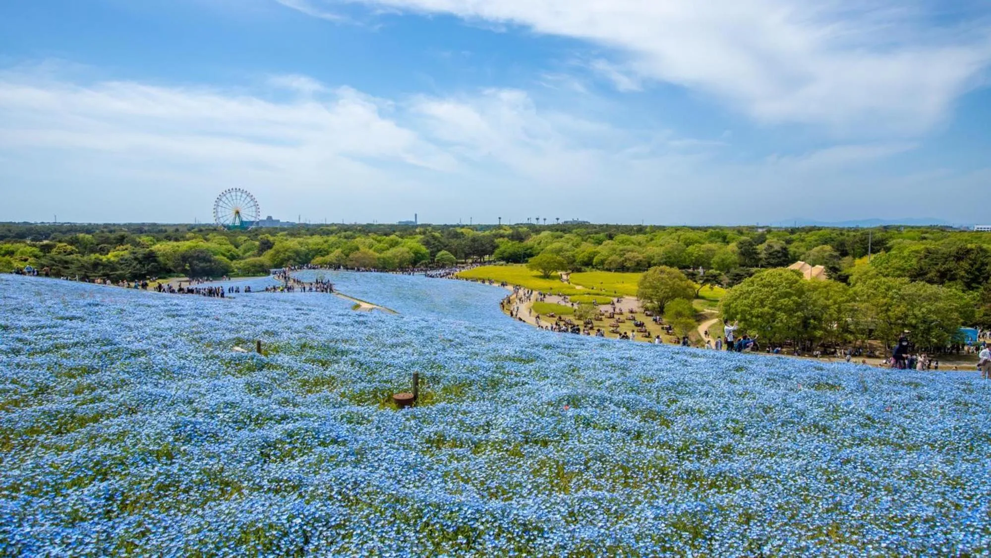 Nearby landmark in Toyoko Inn Mito-eki Minami-guchi