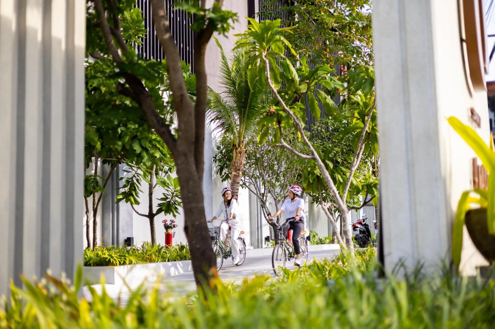 Activities in The Culture Samui