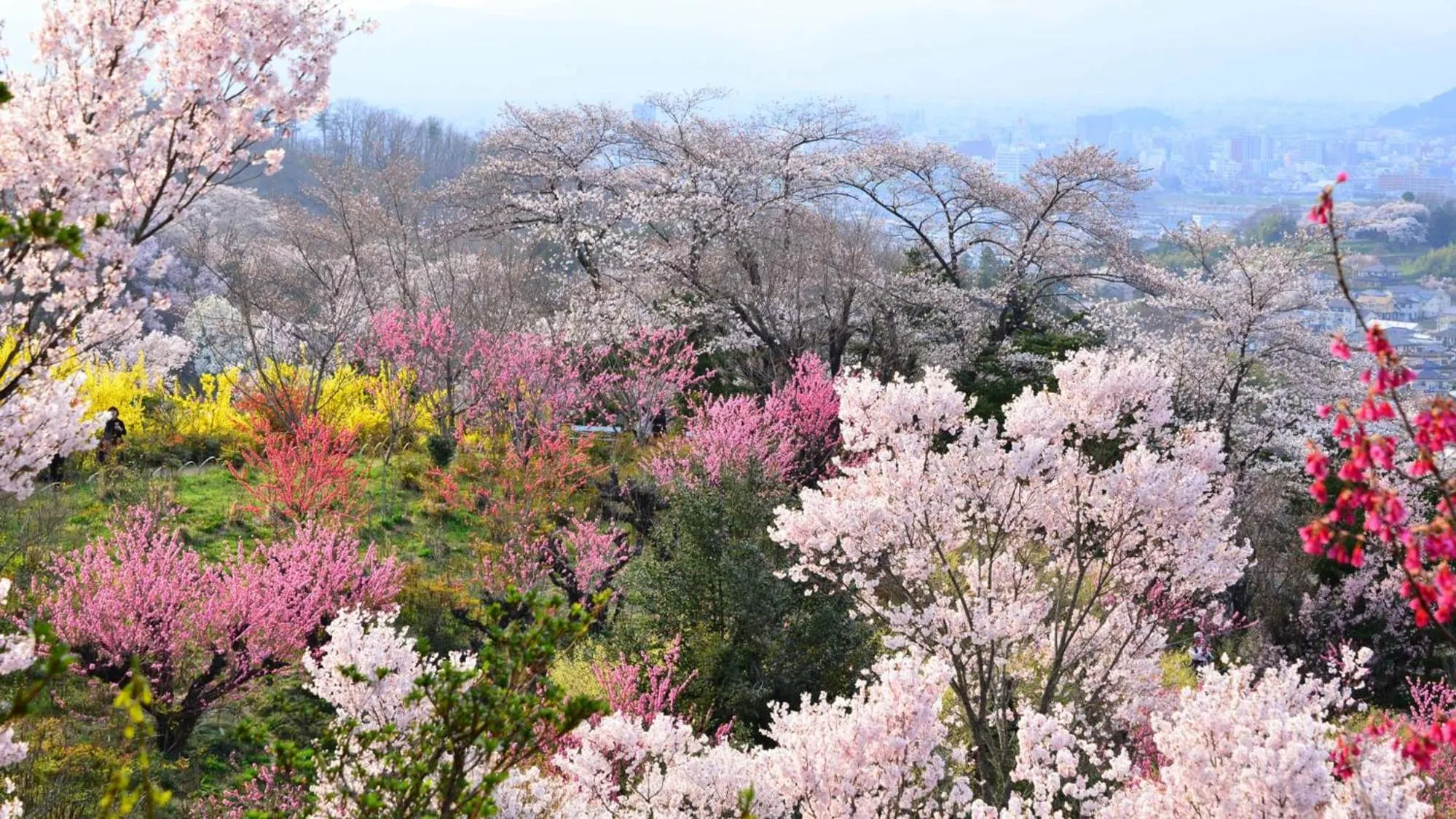 Nearby landmark in Toyoko Inn Fukushima-eki Higashi-guchi No 2