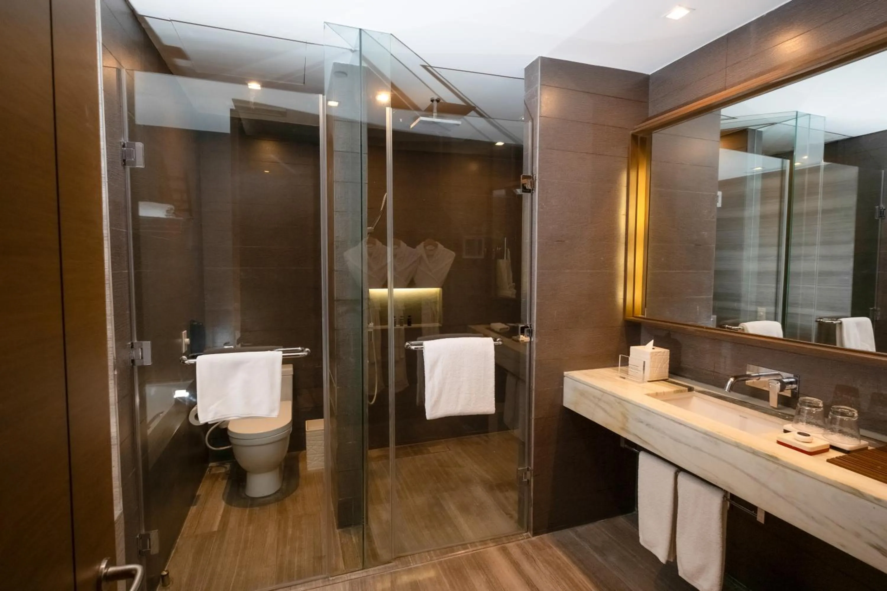 Toilet in Marco Polo Ortigas Manila