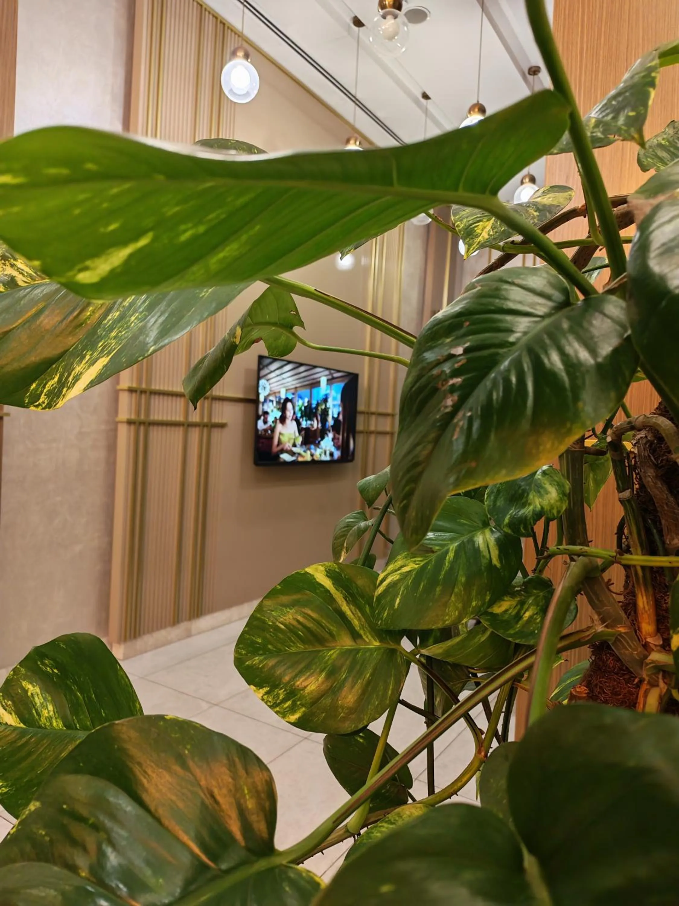 La Flora House Hotel