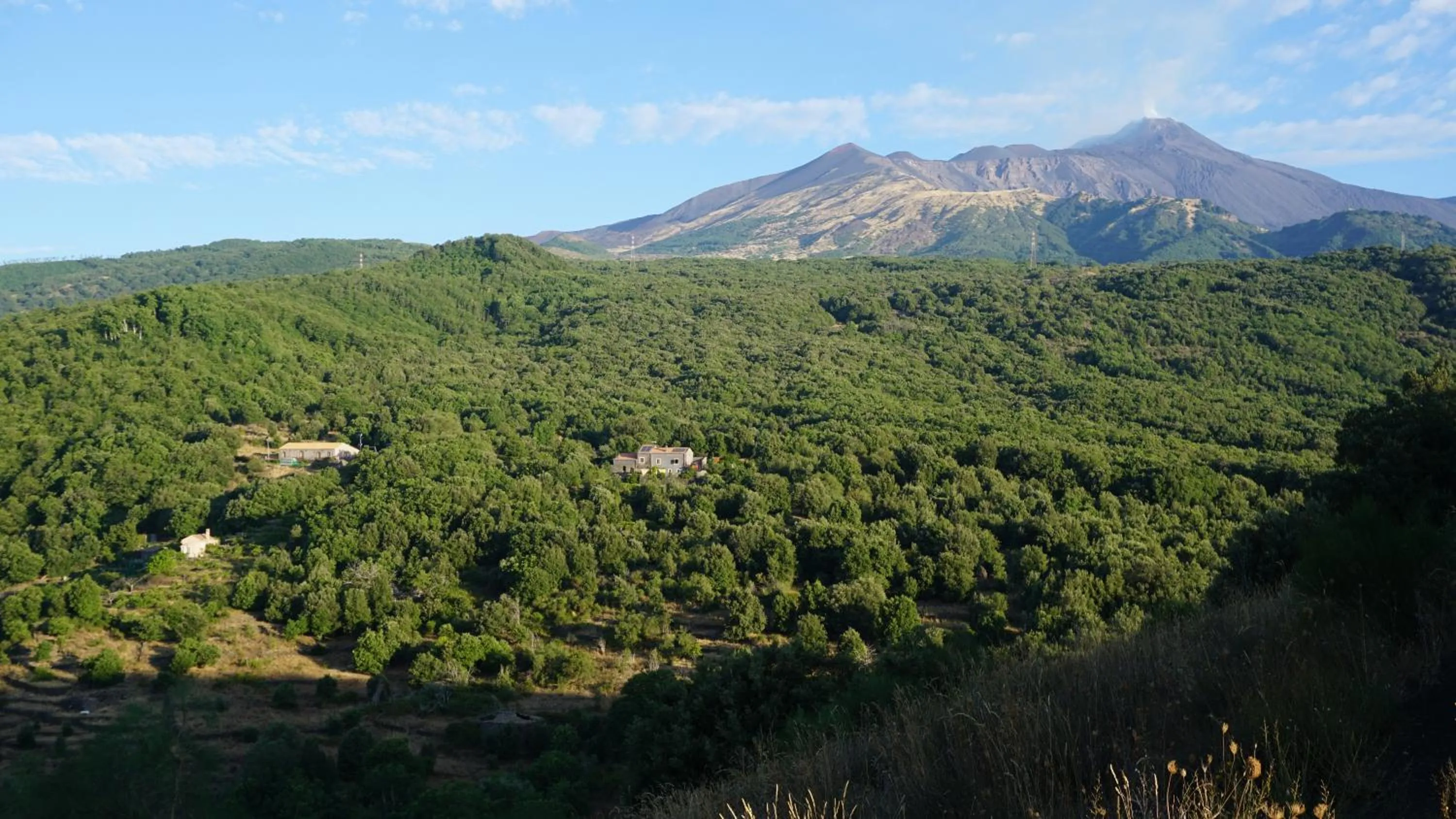 Bird's eye view in Casa Etnea