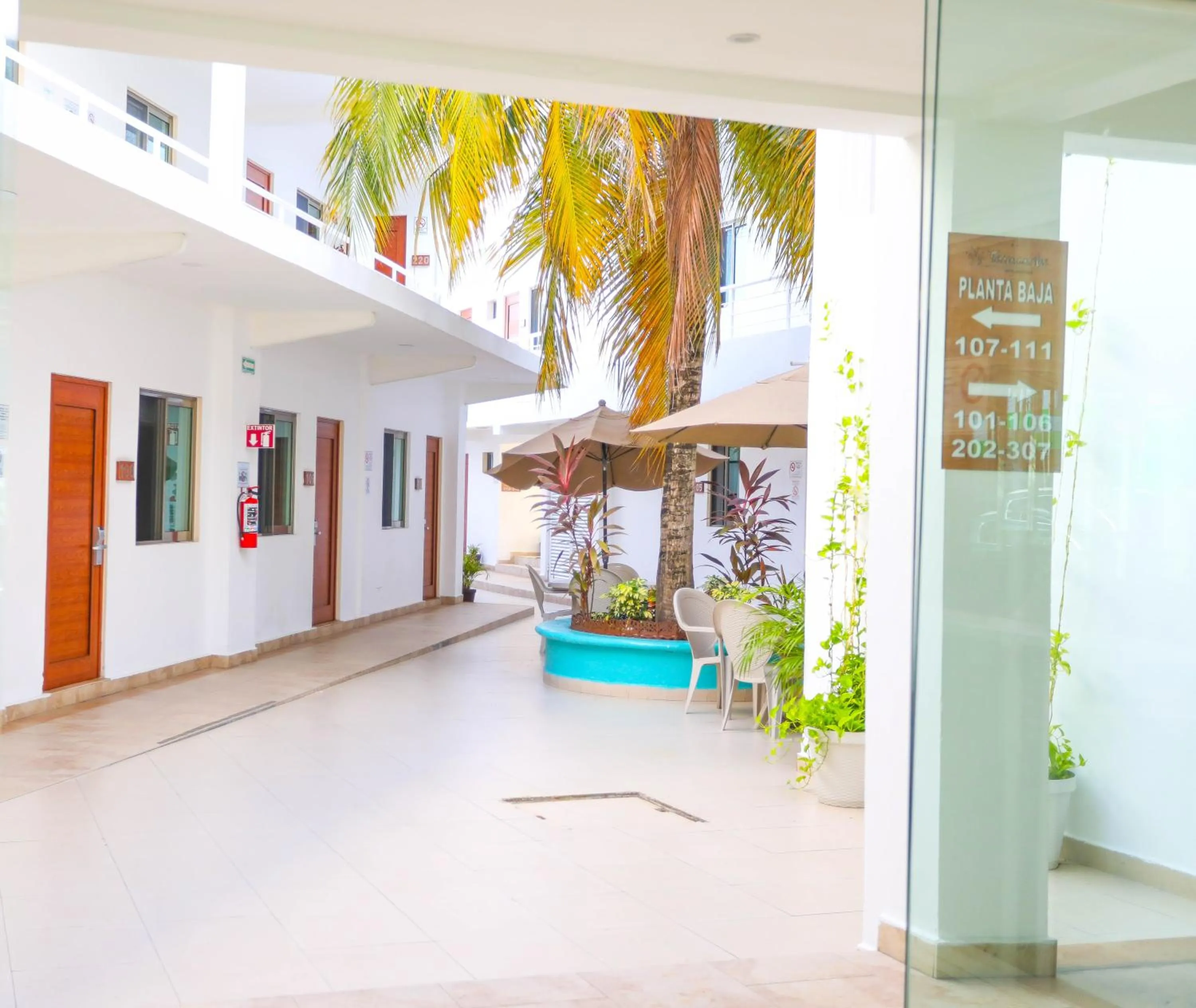 Patio in Terracaribe Hotel Boutique