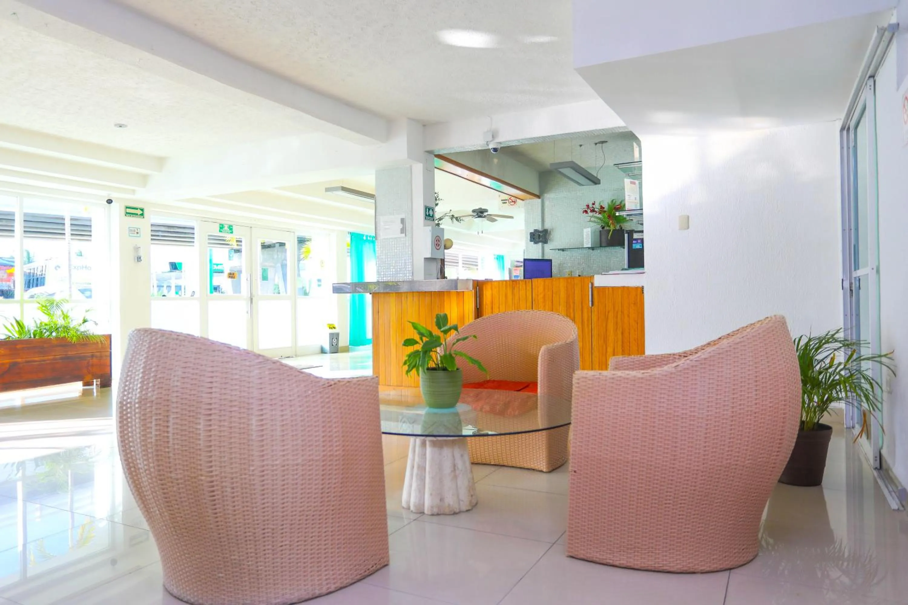 Living room in Terracaribe Hotel Boutique