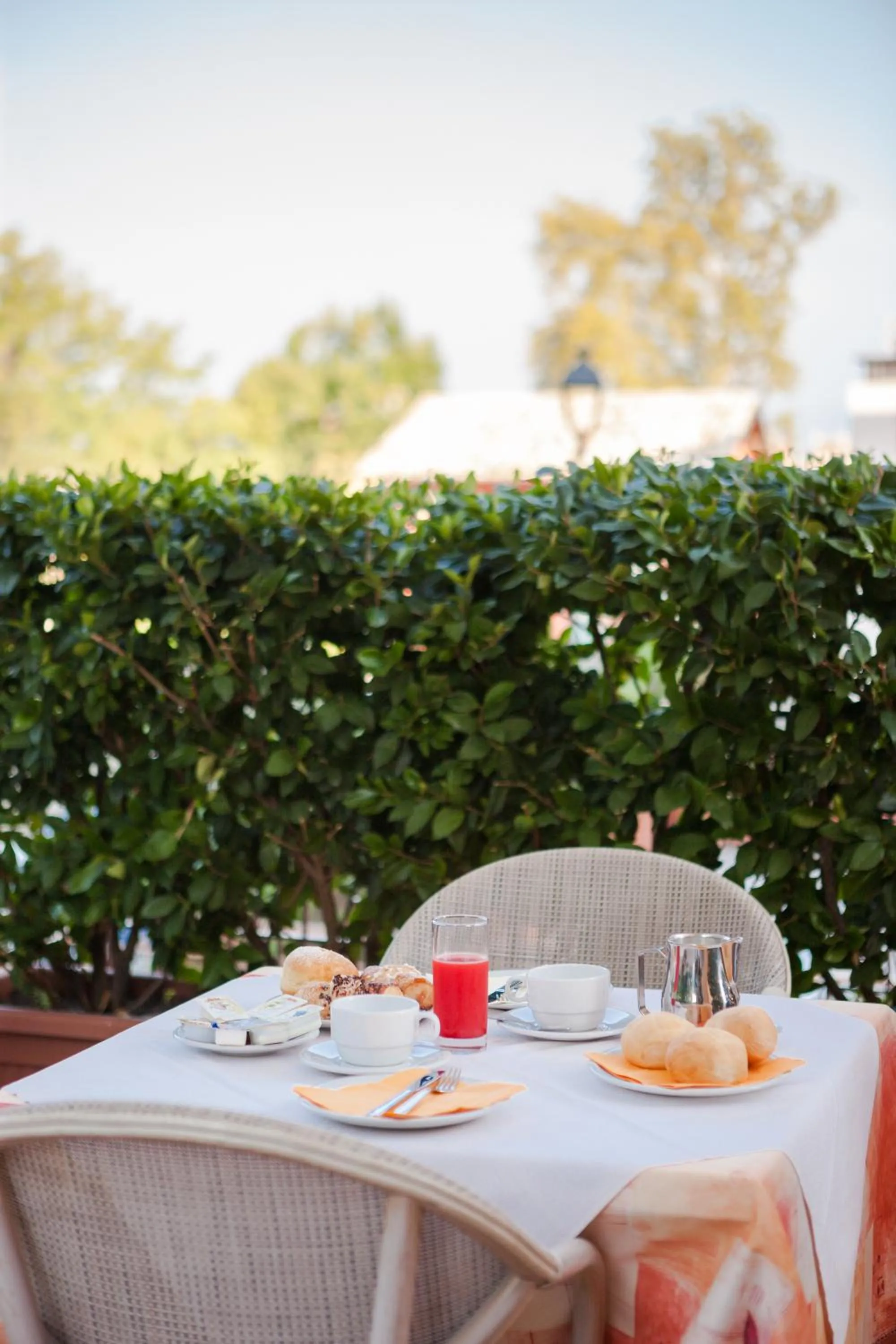 Food and drinks in Hotel Benacus