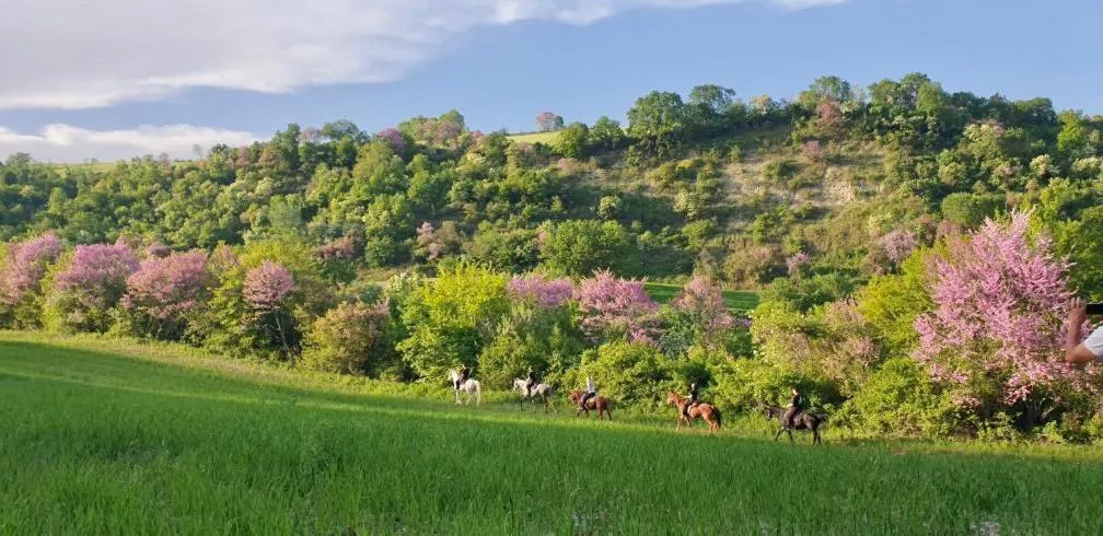 Horse-riding in 3 Hills Boutique - The Ranch Experience