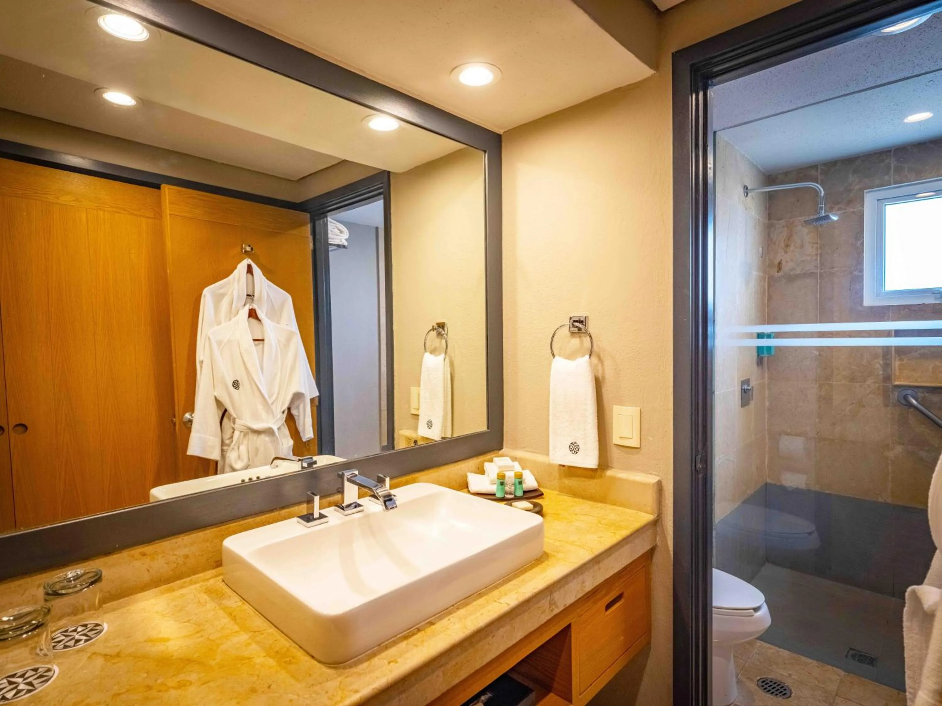 Bathroom in Galería Plaza Veracruz