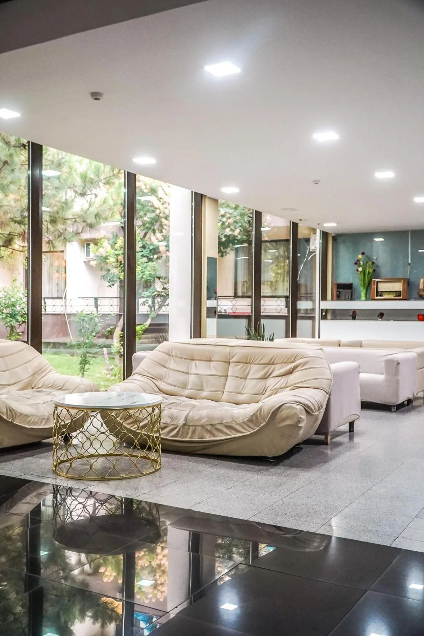 Lobby or reception in Hotel & MedSpa Siret