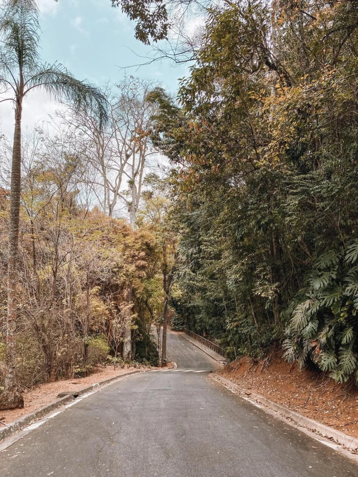 Natural landscape in Apart-hotel Granja Brasil Itaipava