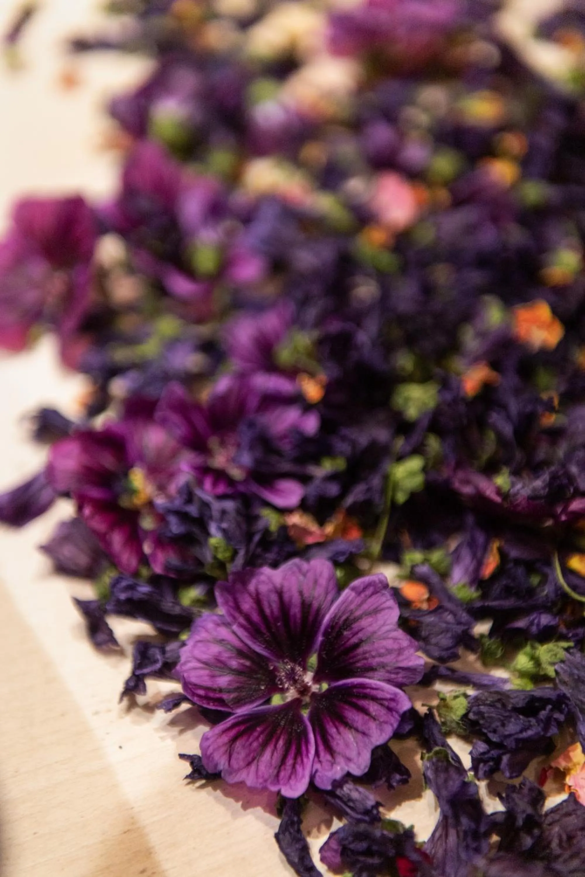 Garden in Kräuter & Spa-Hotel Das Schäfer - Adults only