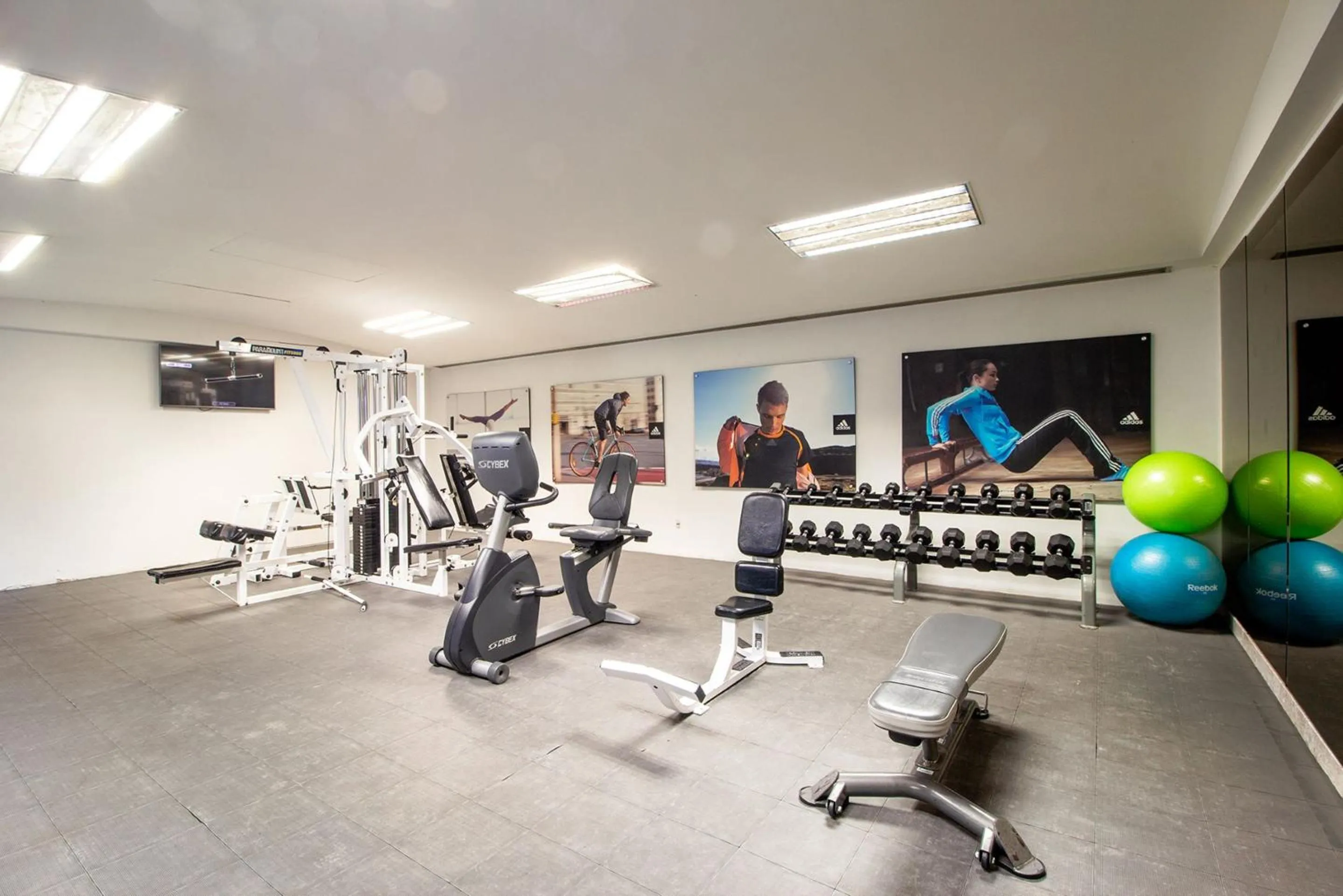 Fitness centre/facilities in Camino Real Guadalajara