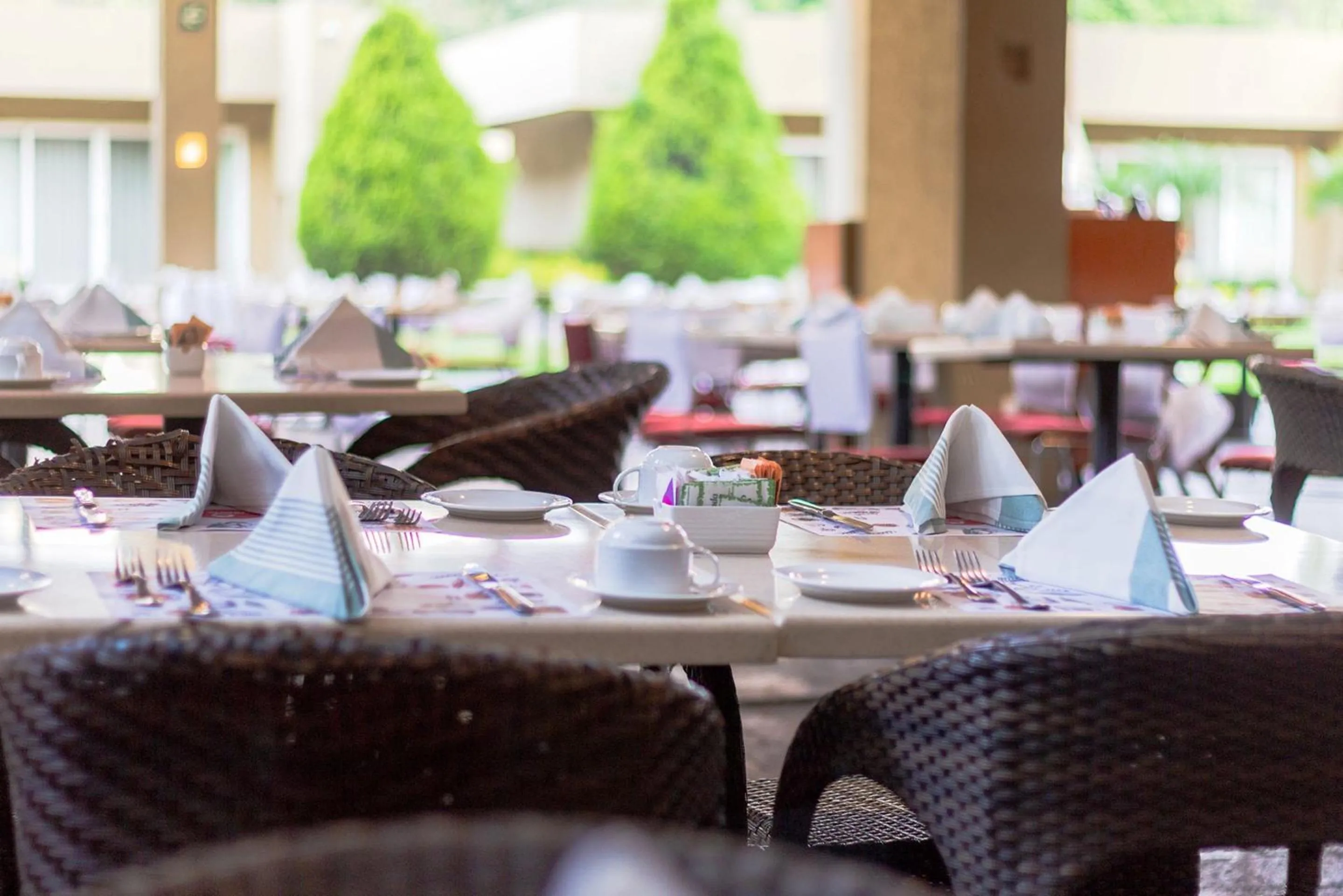 Restaurant/places to eat in Camino Real Guadalajara