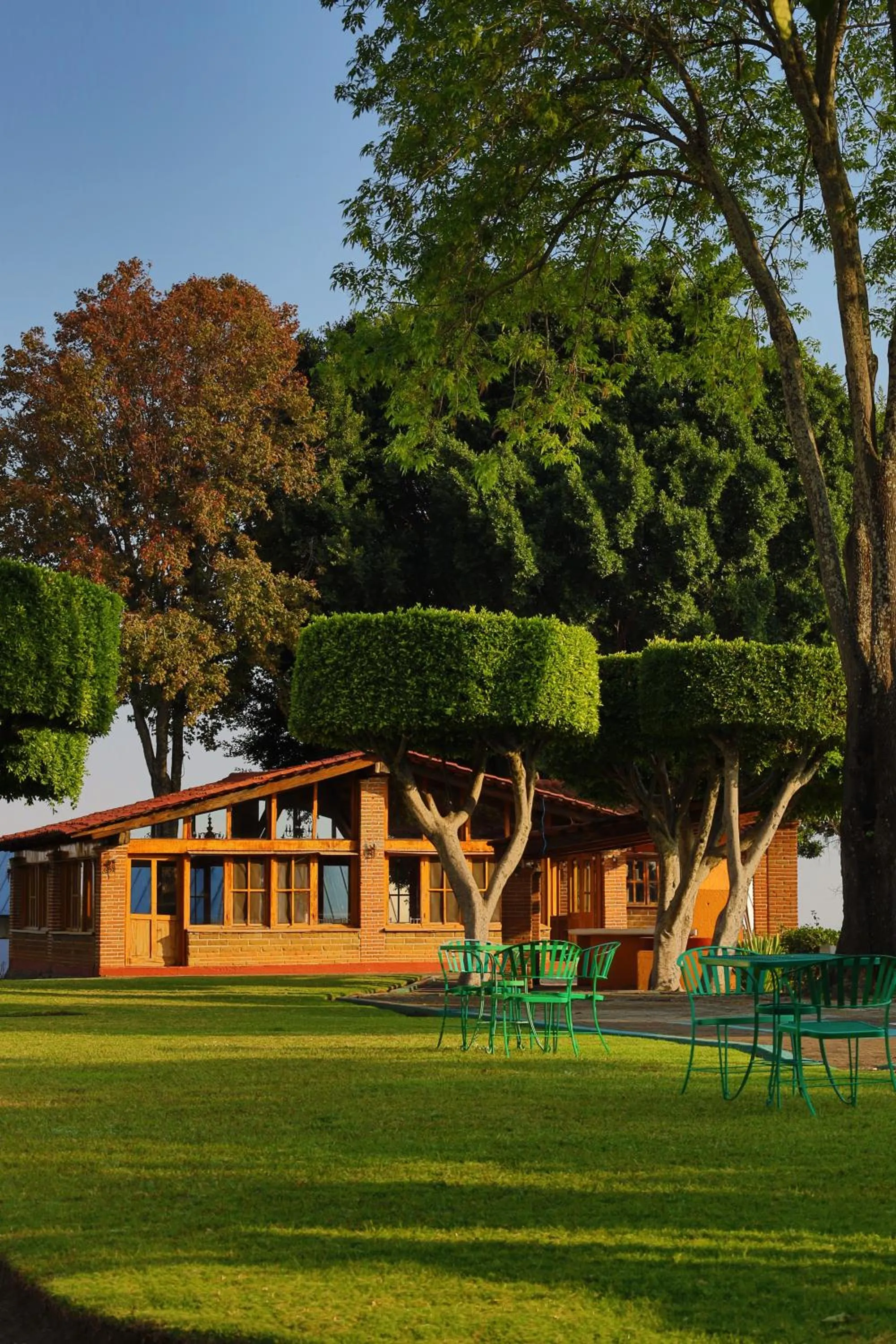 Natural landscape in Hotel Aristos Cuernavaca