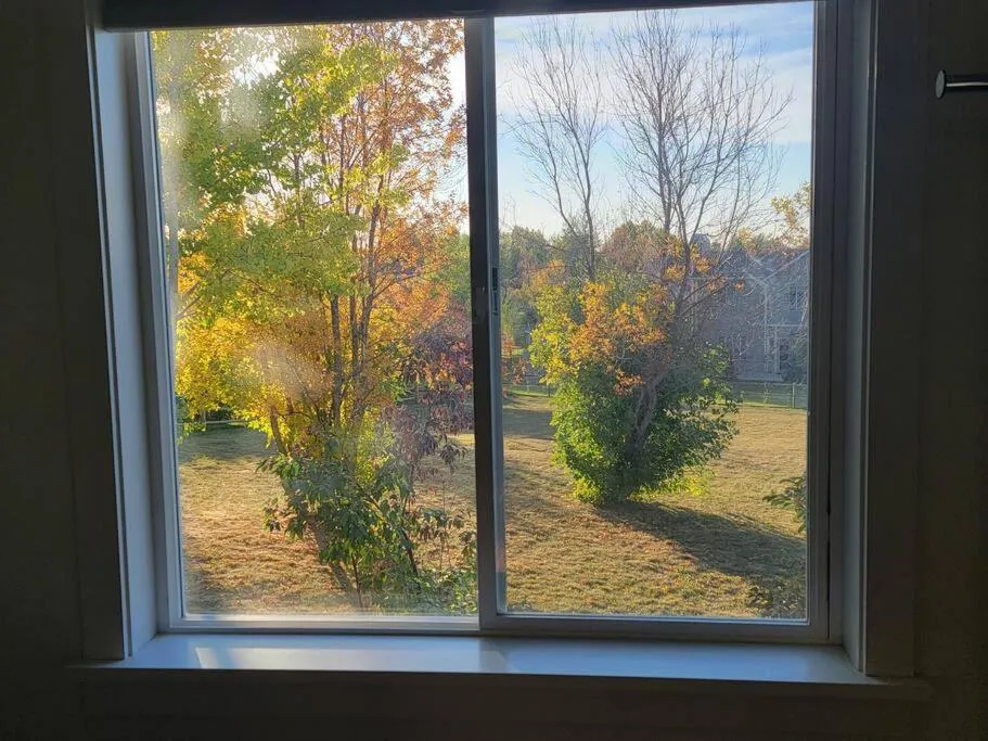 Among the Aspens Family Cottage