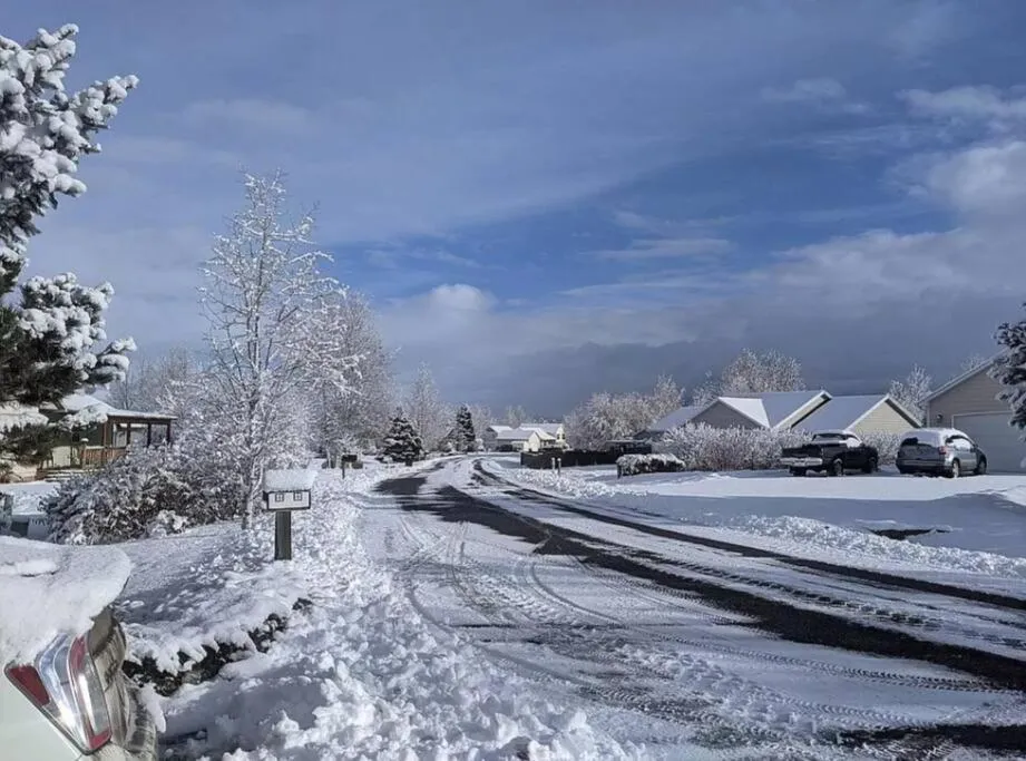 Among the Aspens Family Cottage