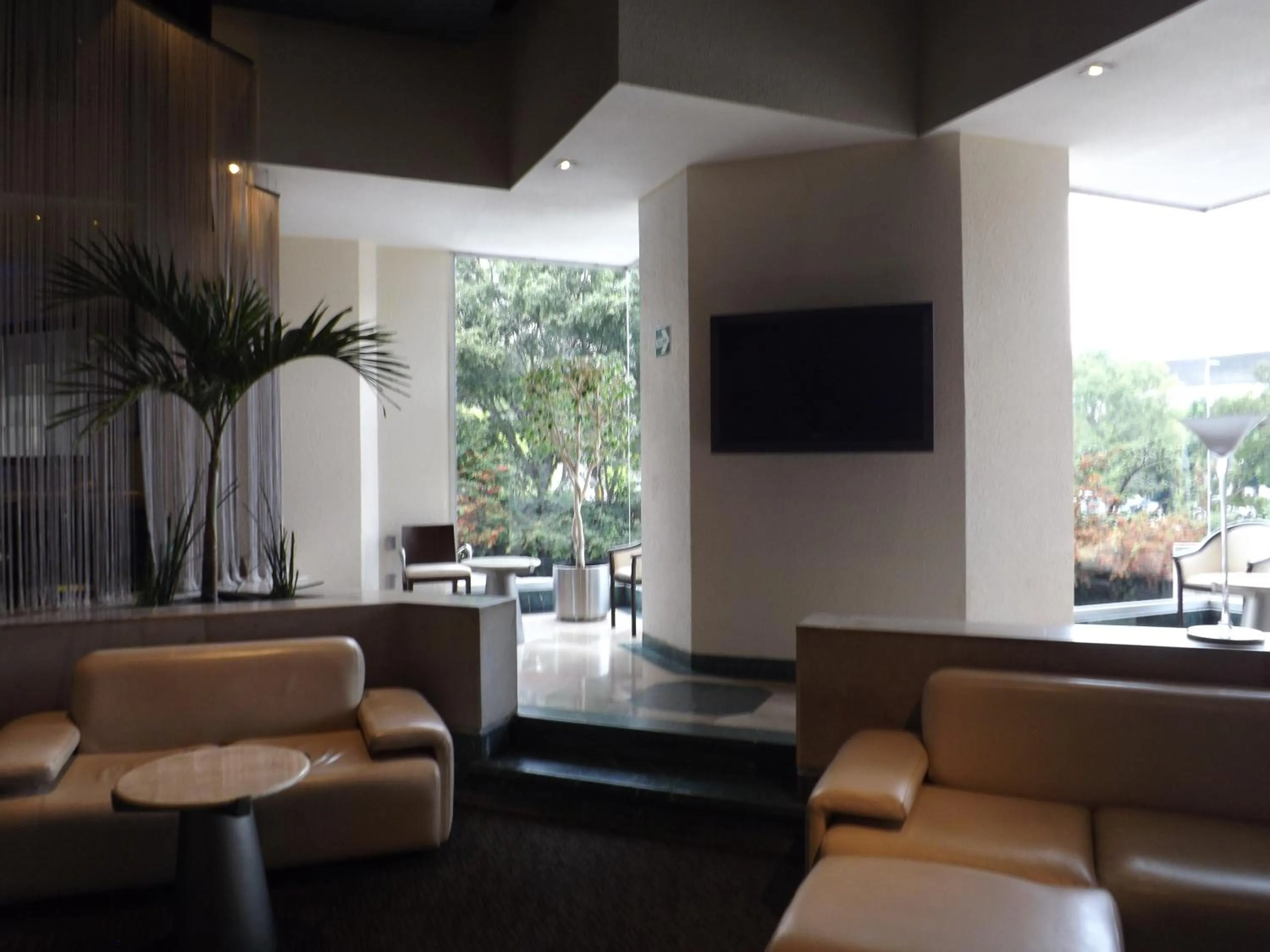 Lounge or bar in Royal Pedregal