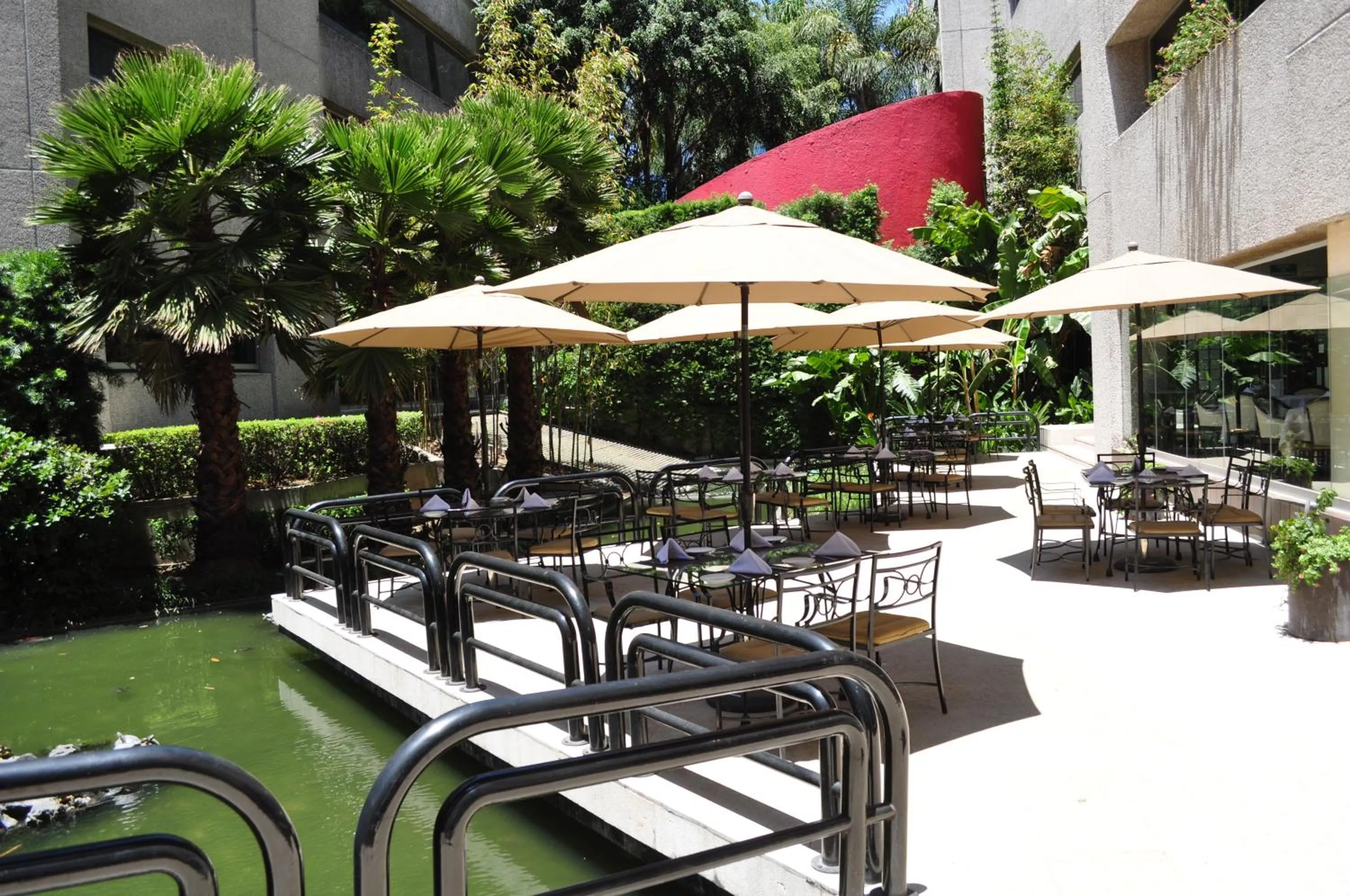 Patio in Royal Pedregal