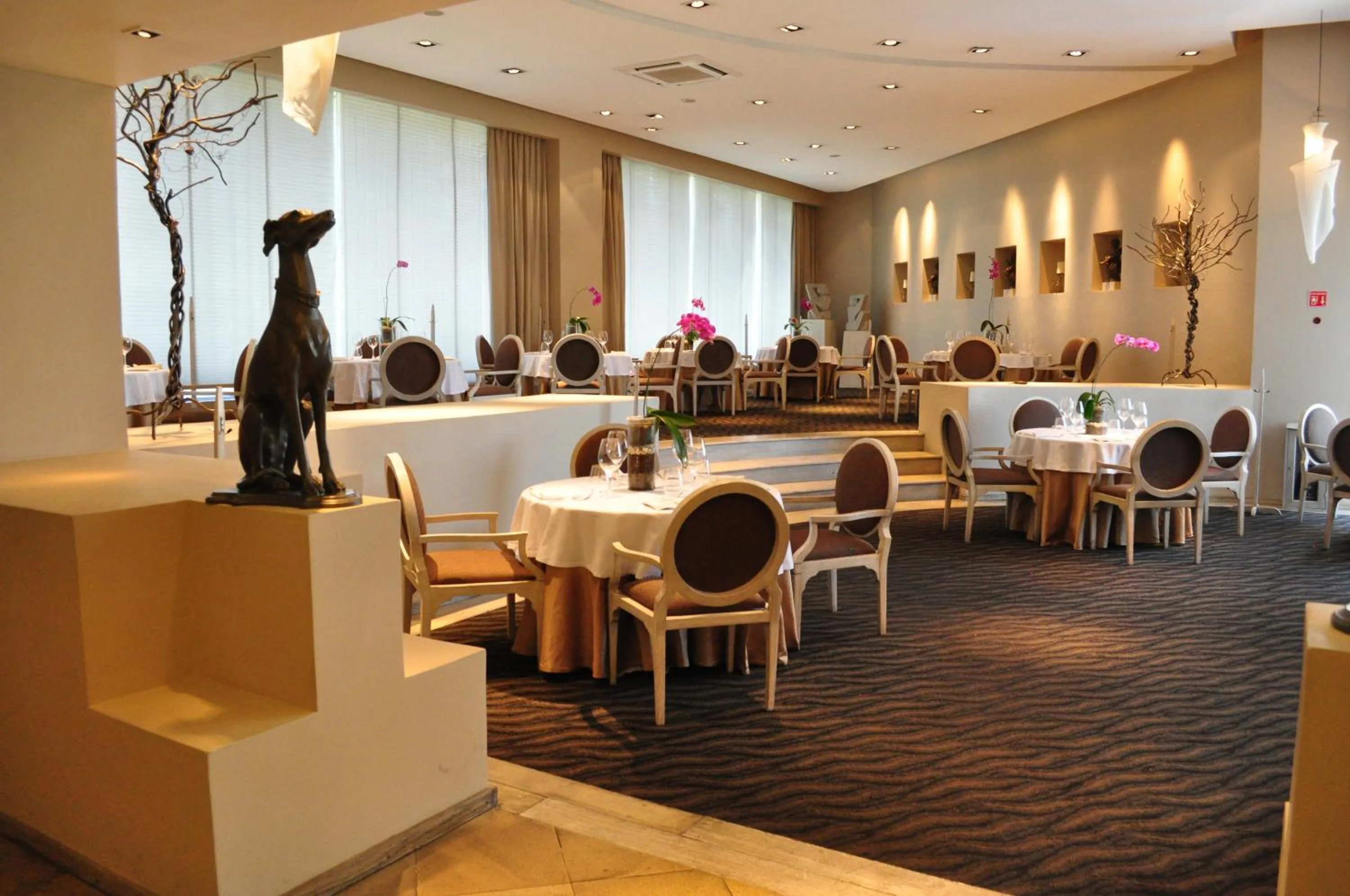 Restaurant/places to eat in Royal Pedregal