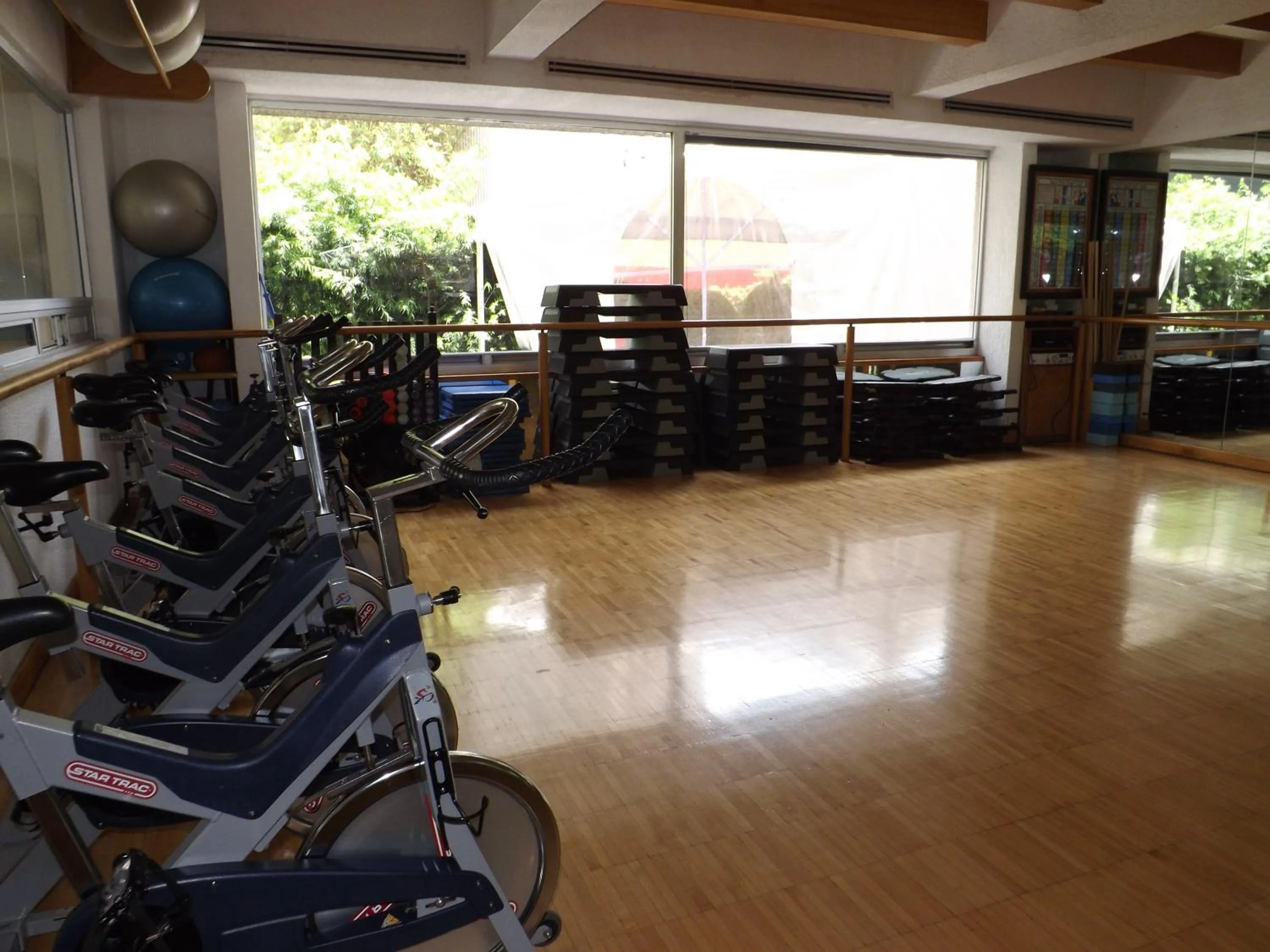 Fitness centre/facilities in Royal Pedregal