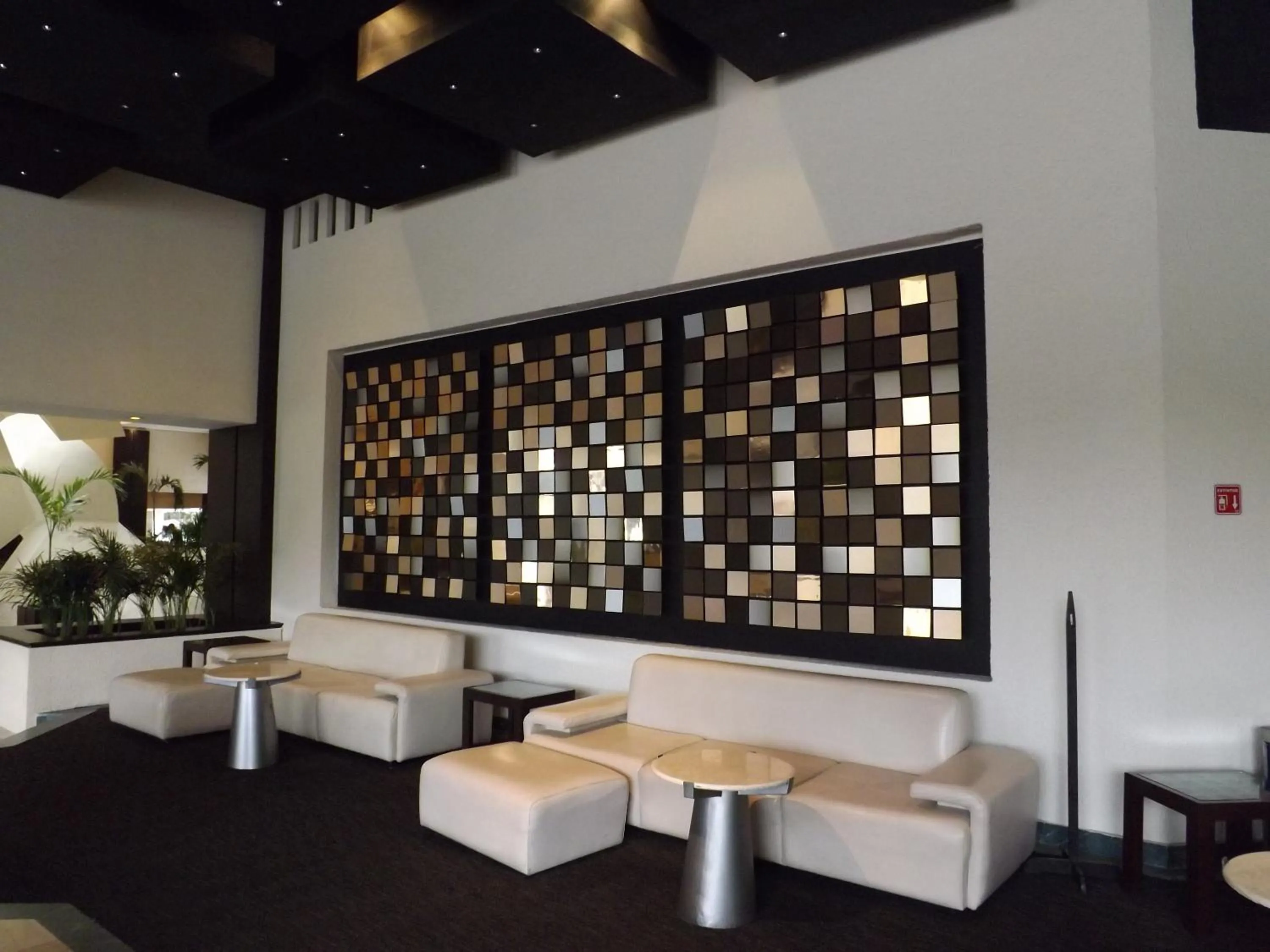 Lounge or bar in Royal Pedregal